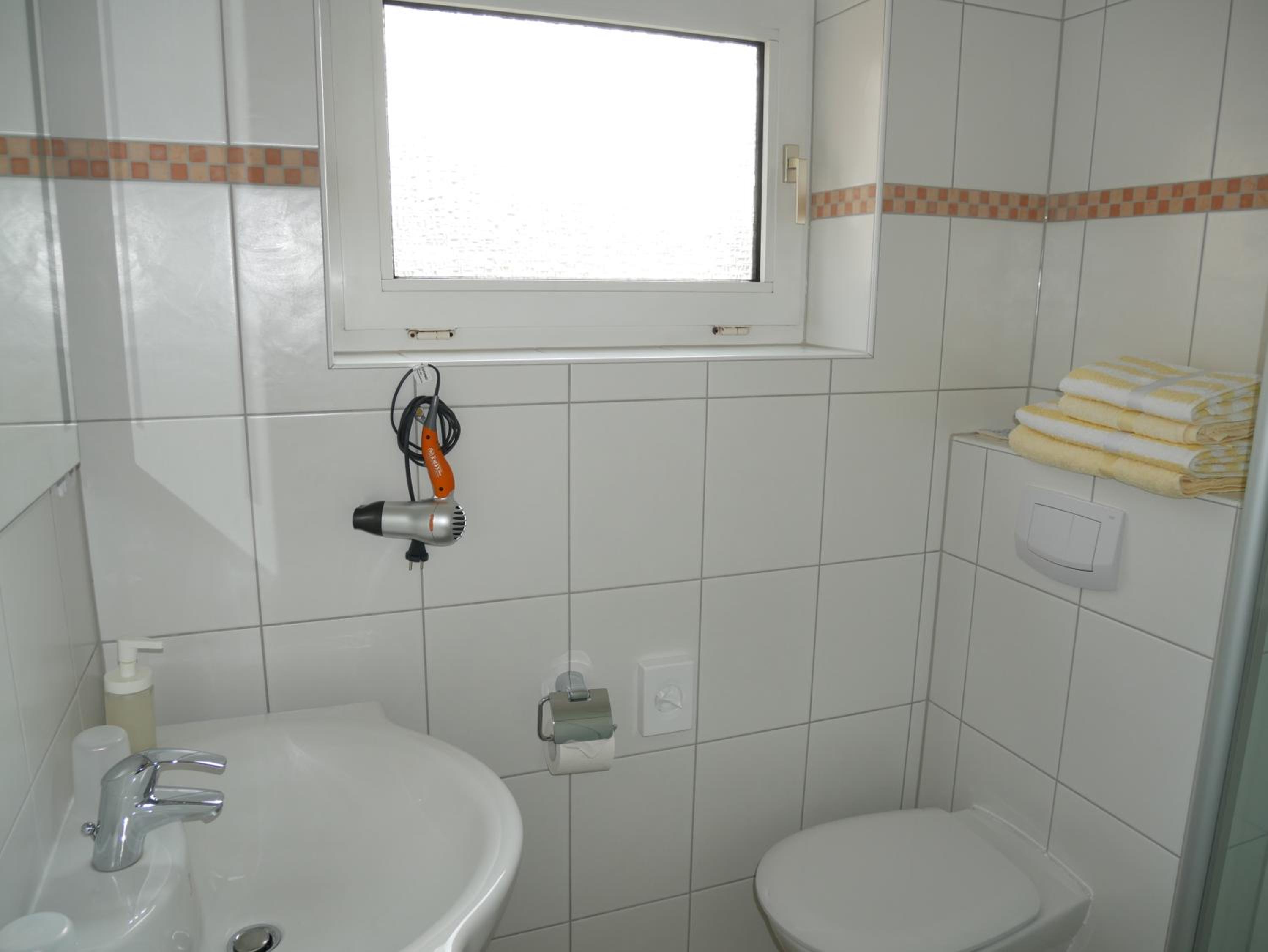 Single Room with Terrace