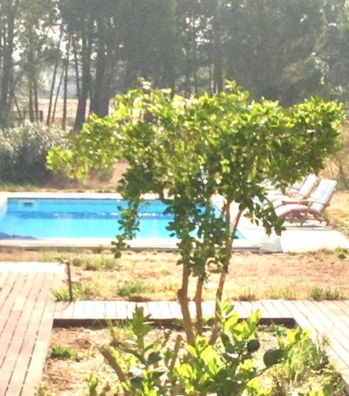 Villa photo 2