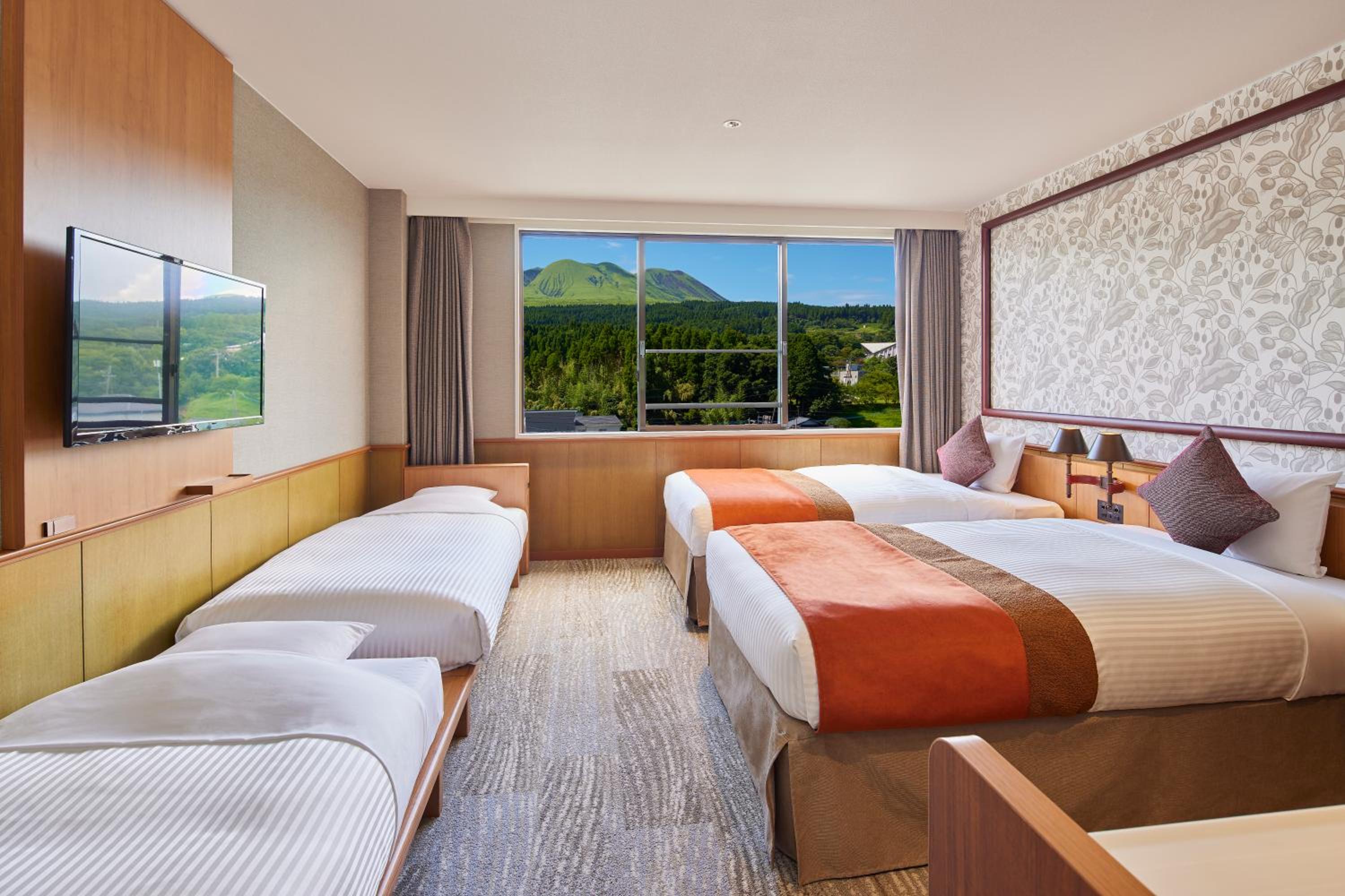 South Wing Renewal Standard Twin Room photo 2