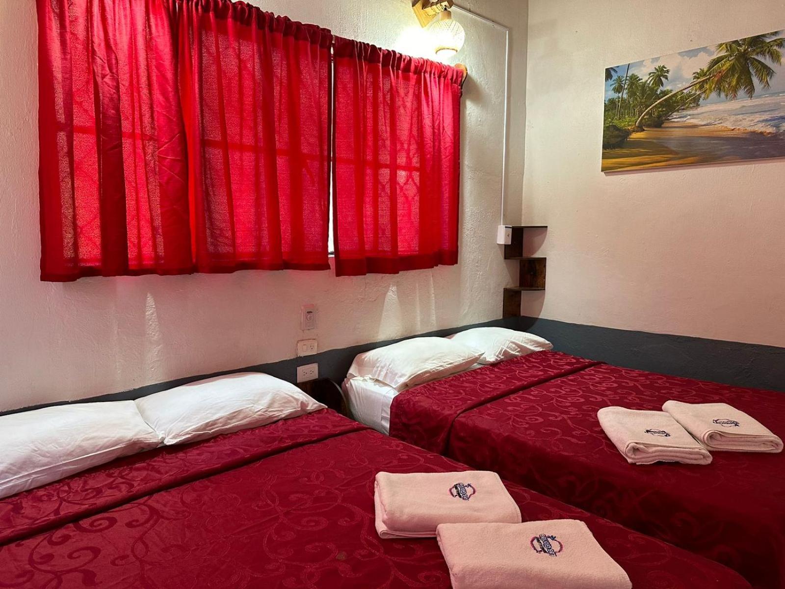 Basic Triple Room - Photo 2