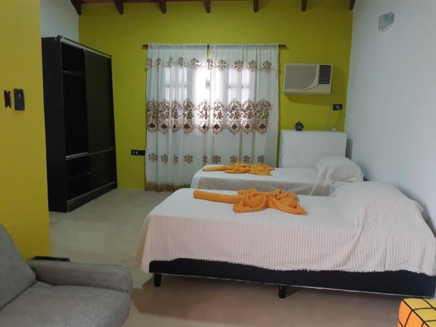 Twin Room photo 1