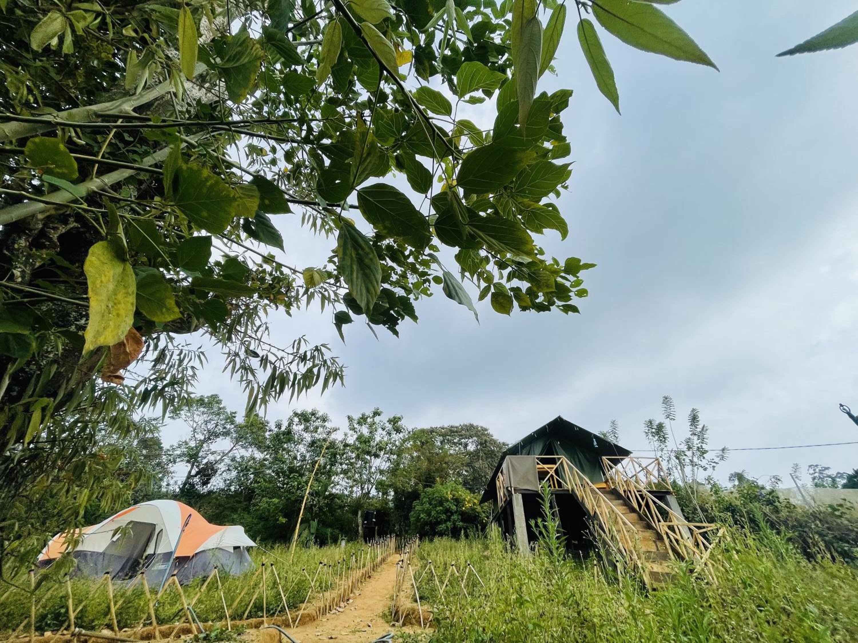 Tent photo 3