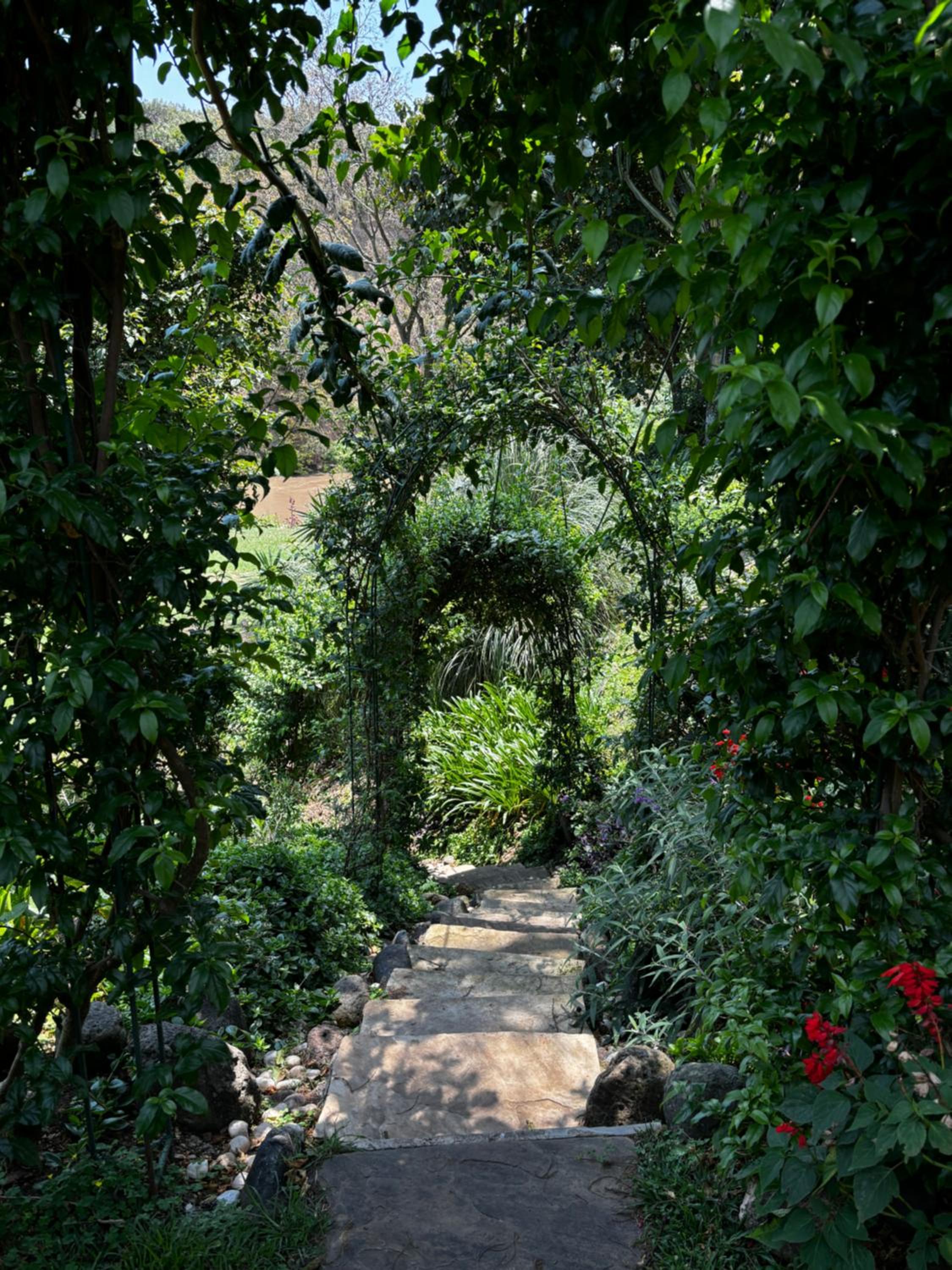 Villa with Garden View photo 3