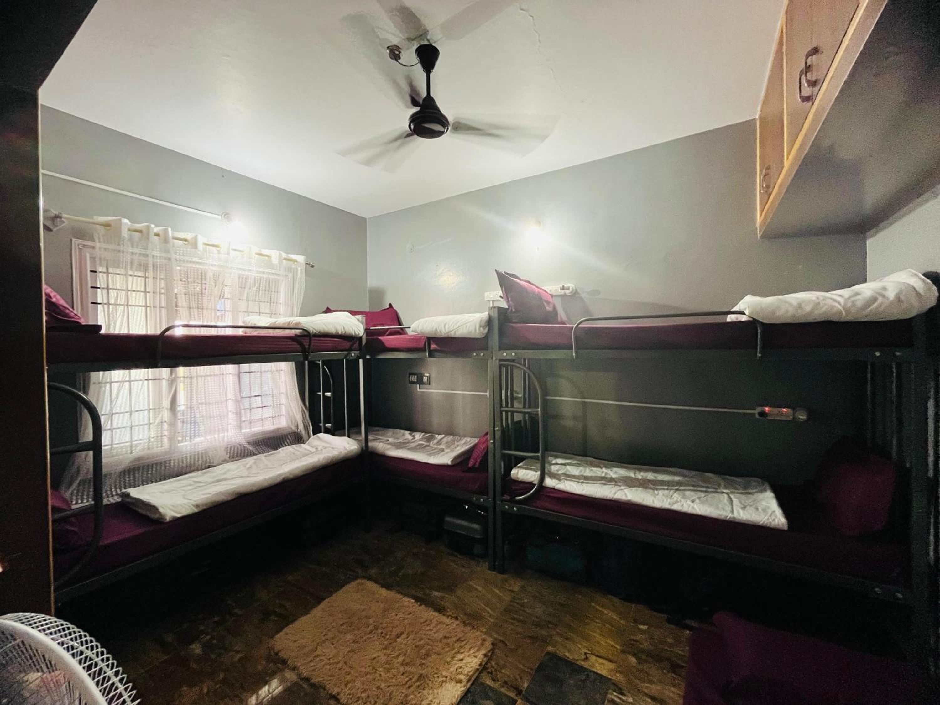 Bunk Bed in Female Dormitory Room   photo 2