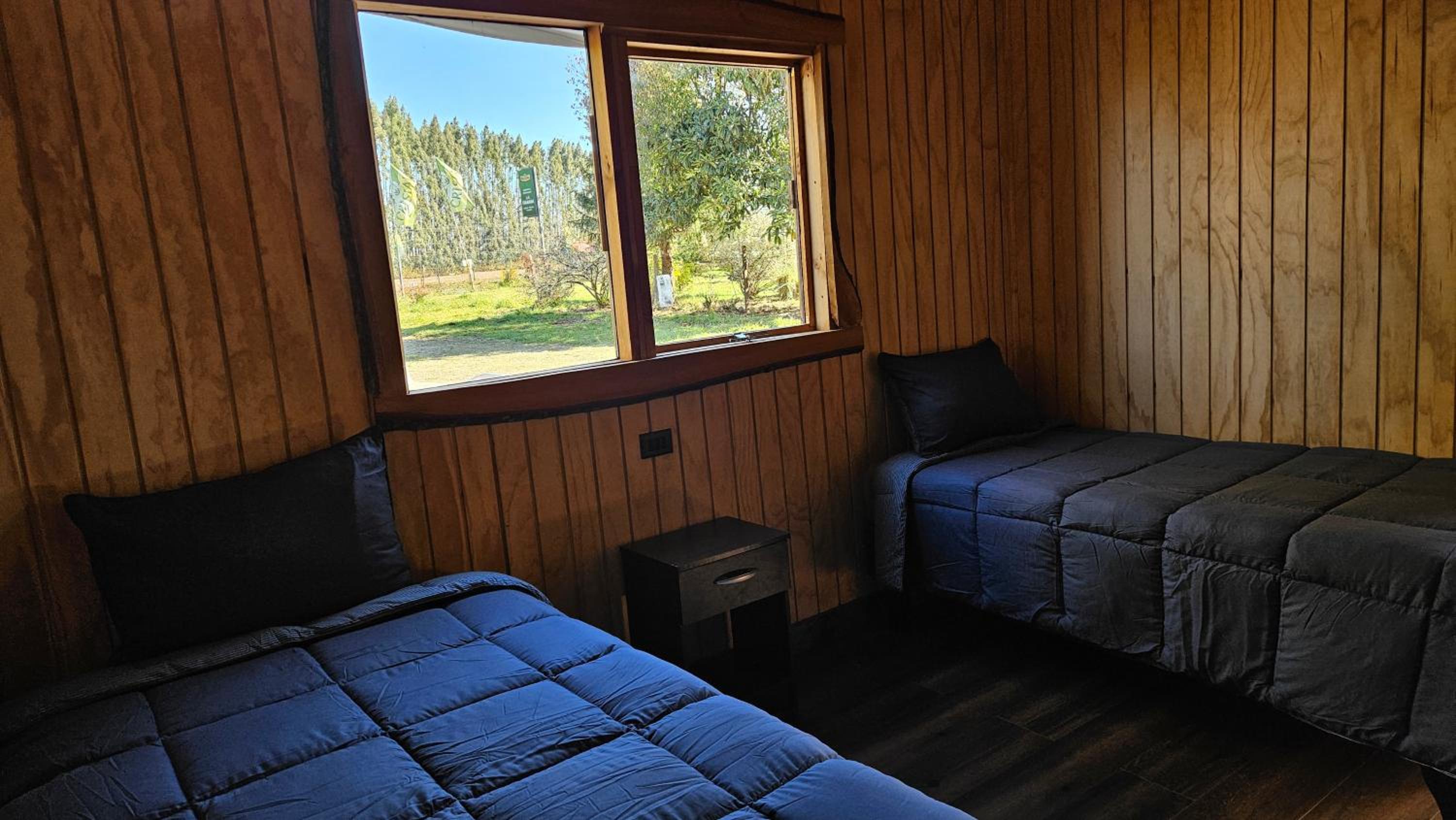 Twin Room photo 1