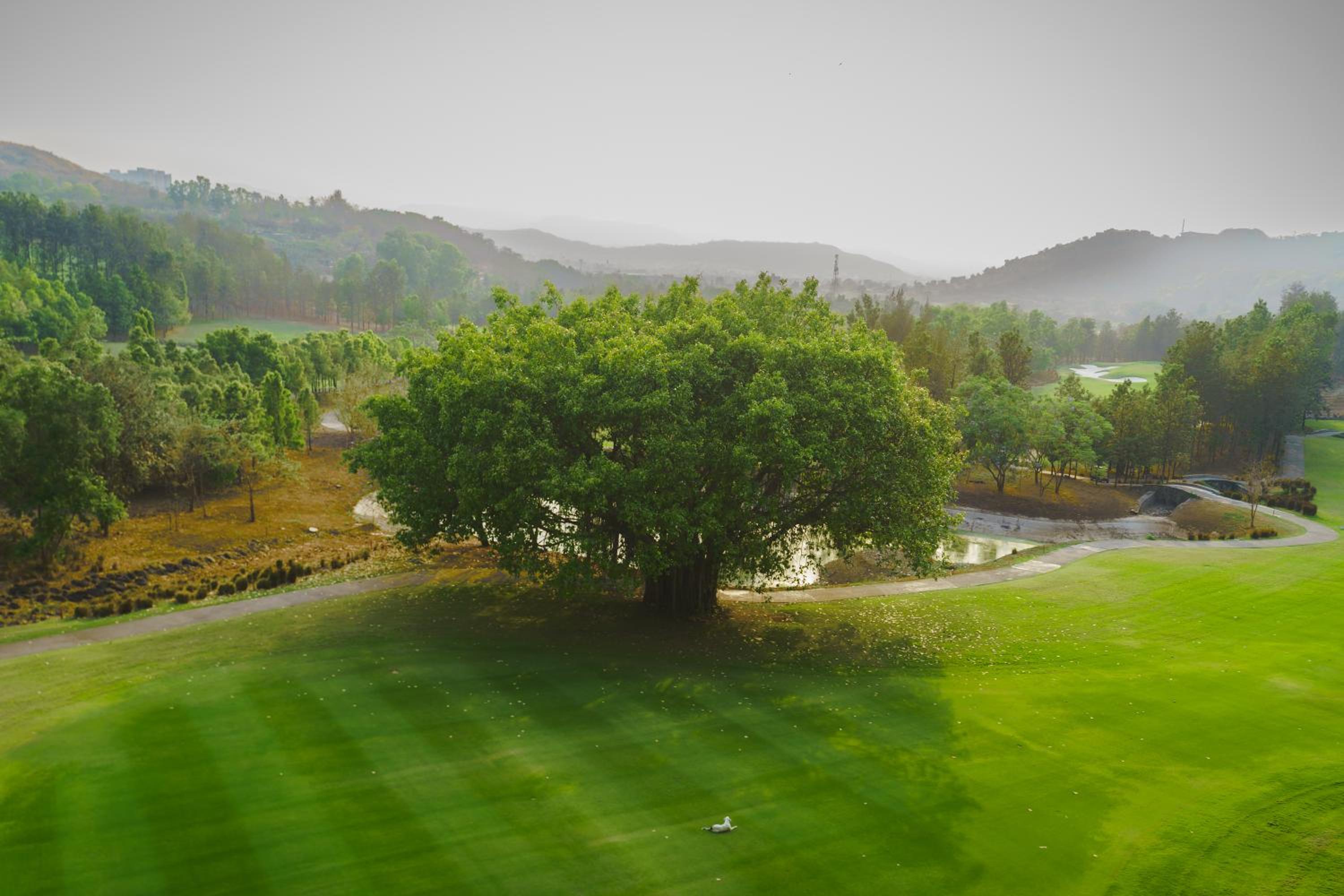 1 Bedroom, and Living room with Golf View 713 sqft, 1 X Ensuite at Iconic