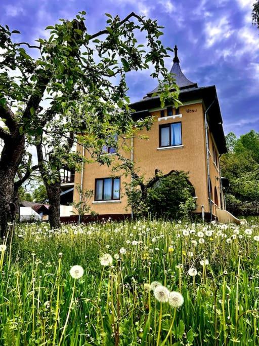 Five-Bedroom House photo 2