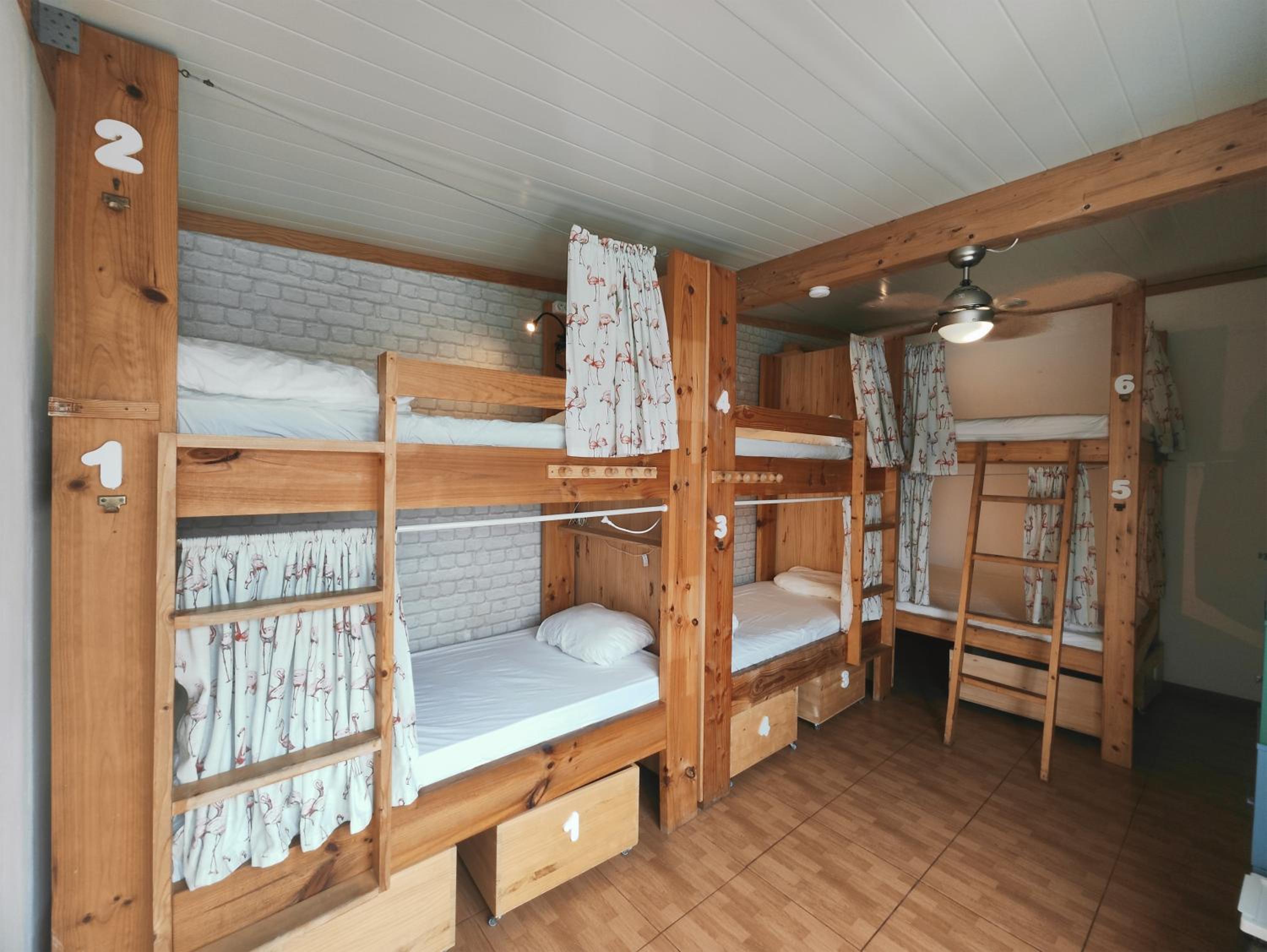 Bed in 6-Bed Mixed Dormitory Room photo 2