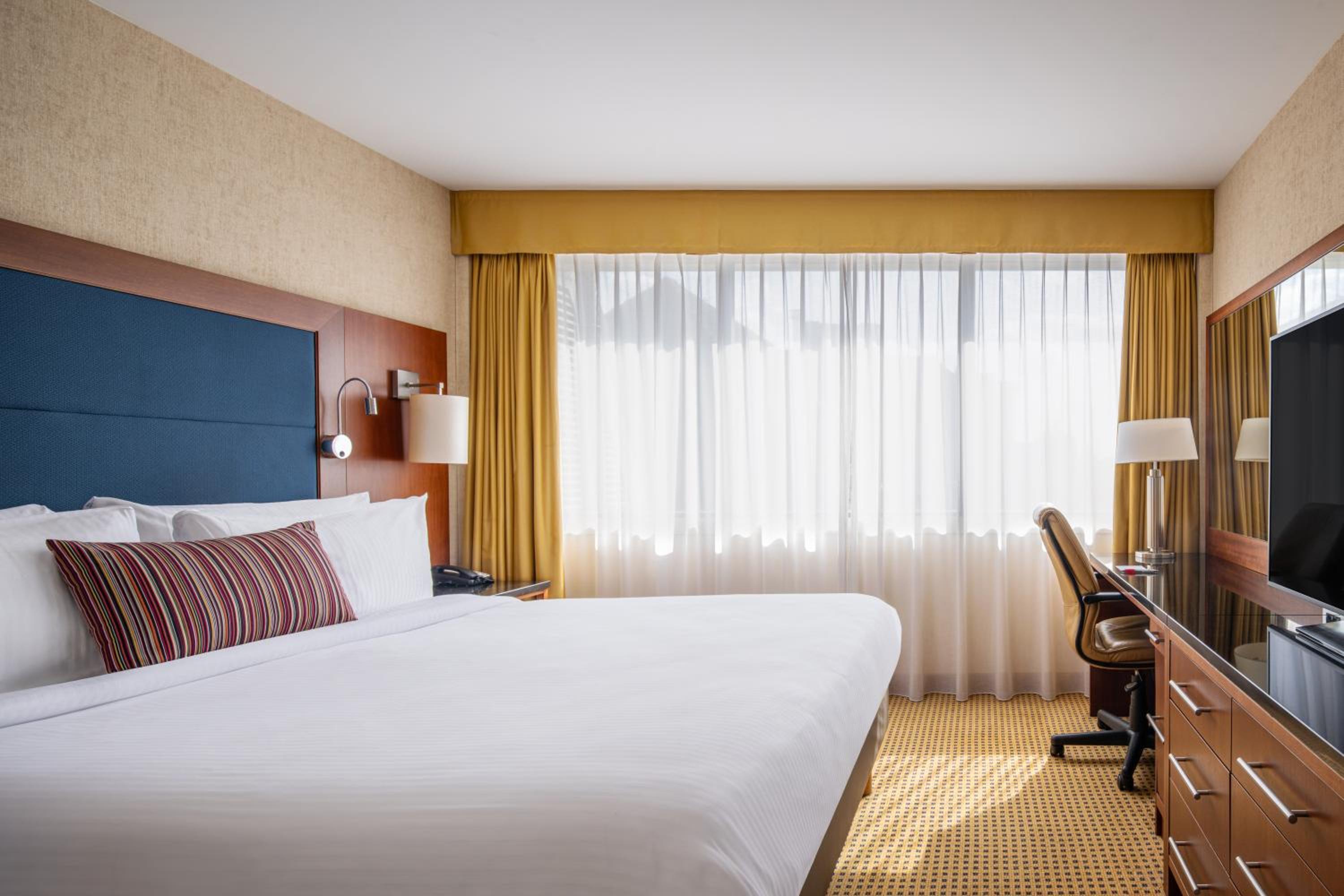 Executive Room, 1 King photo 2