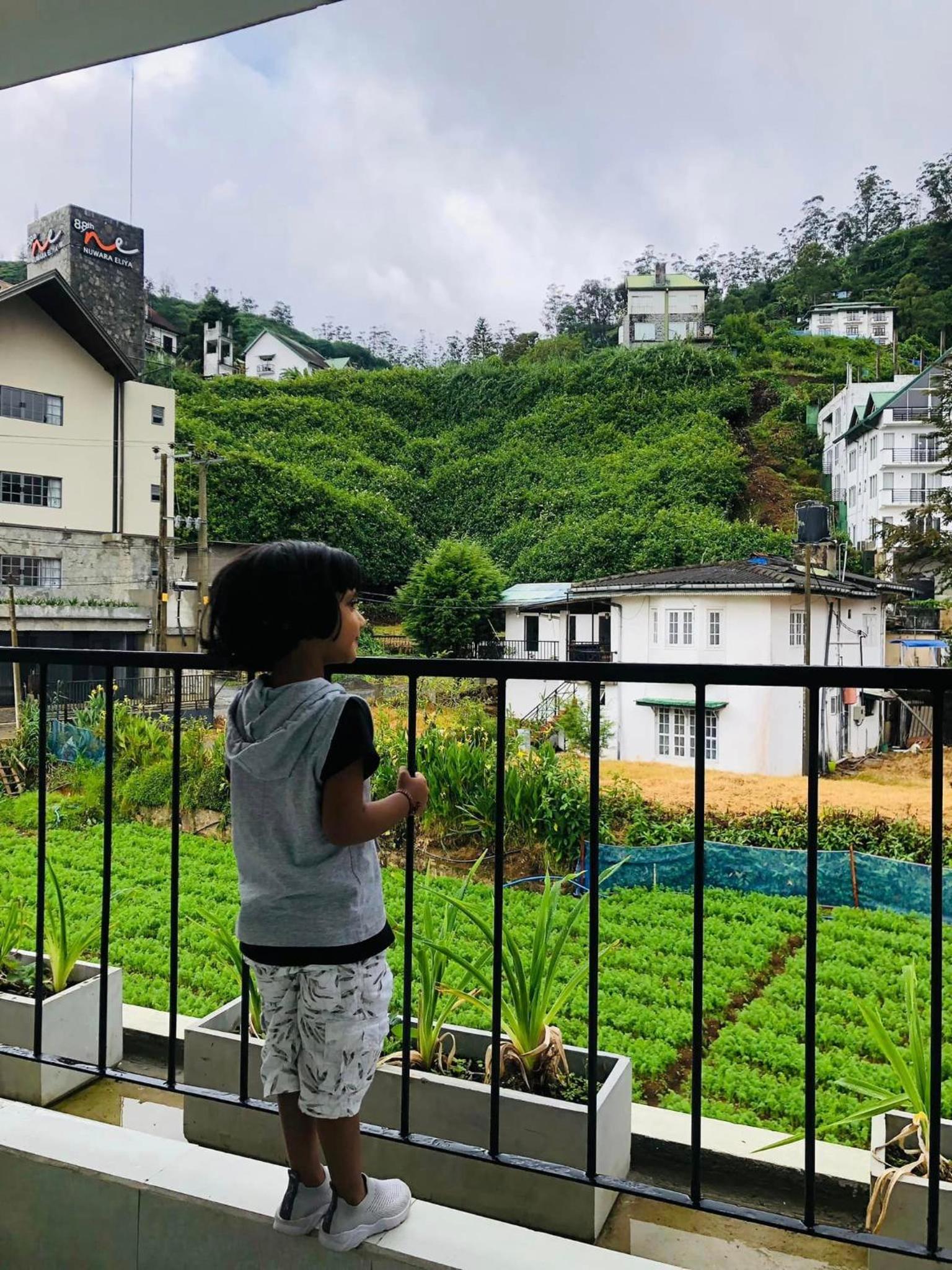 Deluxe Double or Twin Room with Mountain View photo 3
