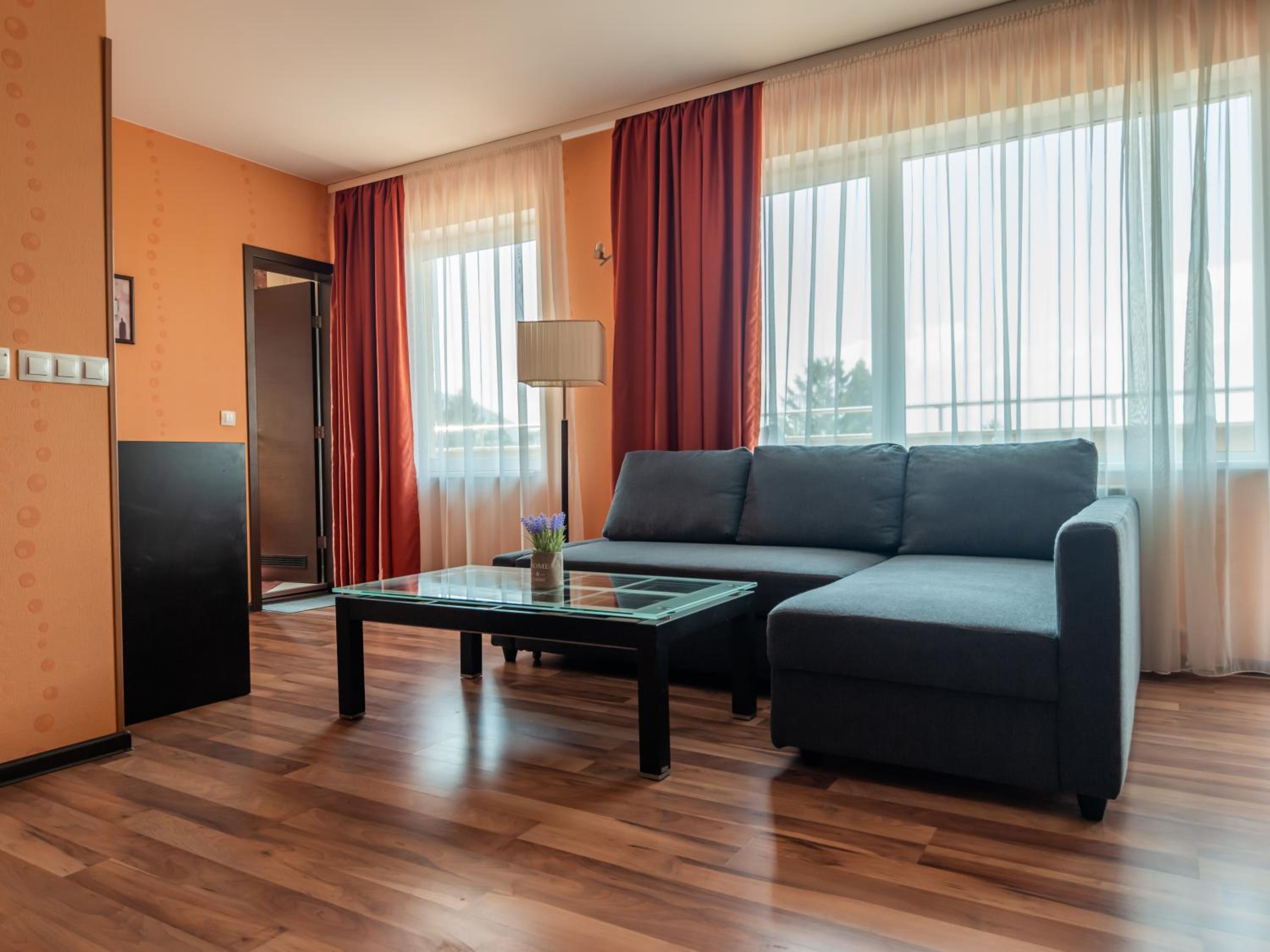 Deluxe One-Bedroom Apartment With City View