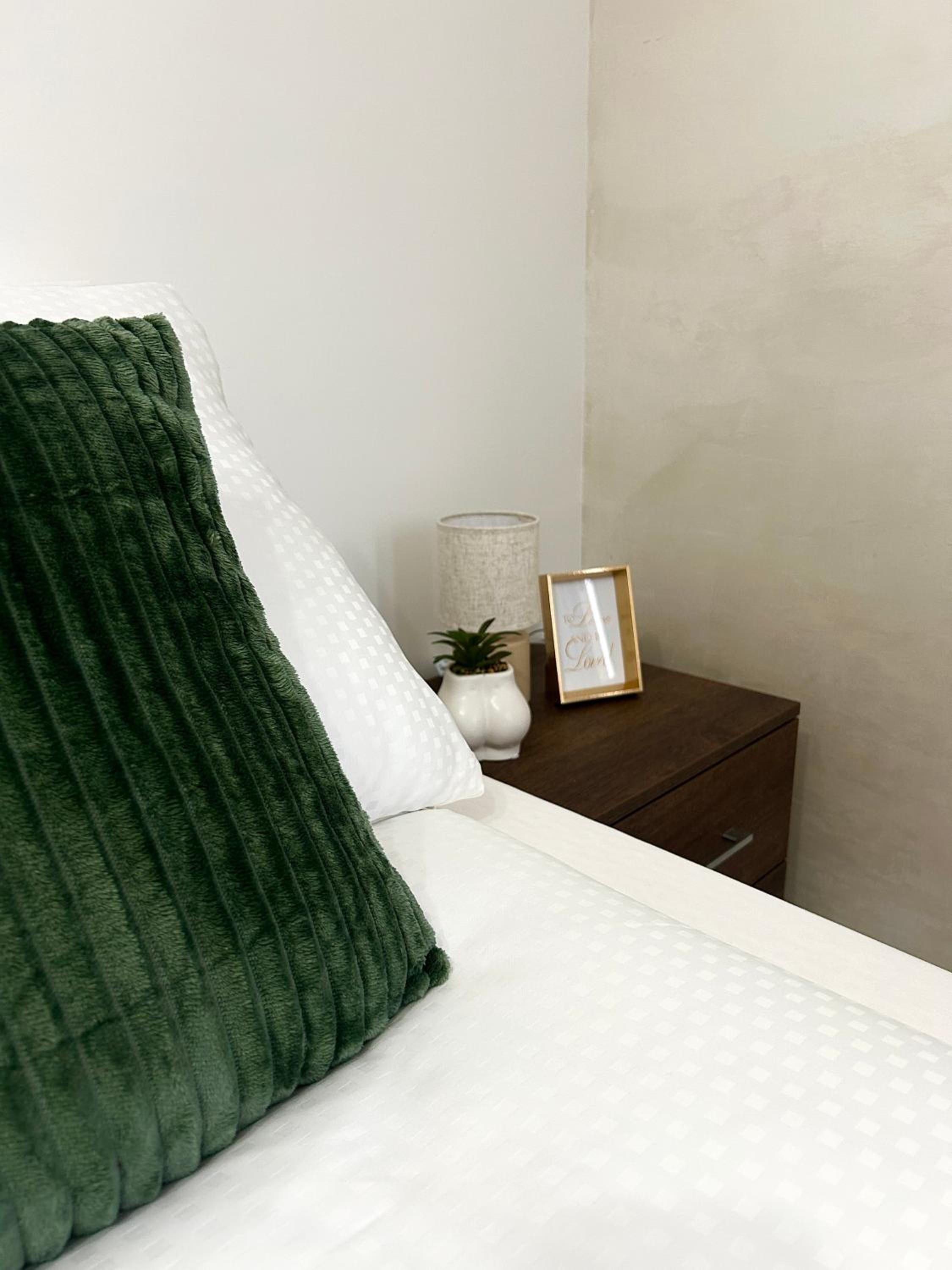 One-Bedroom Apartment with City View photo 3