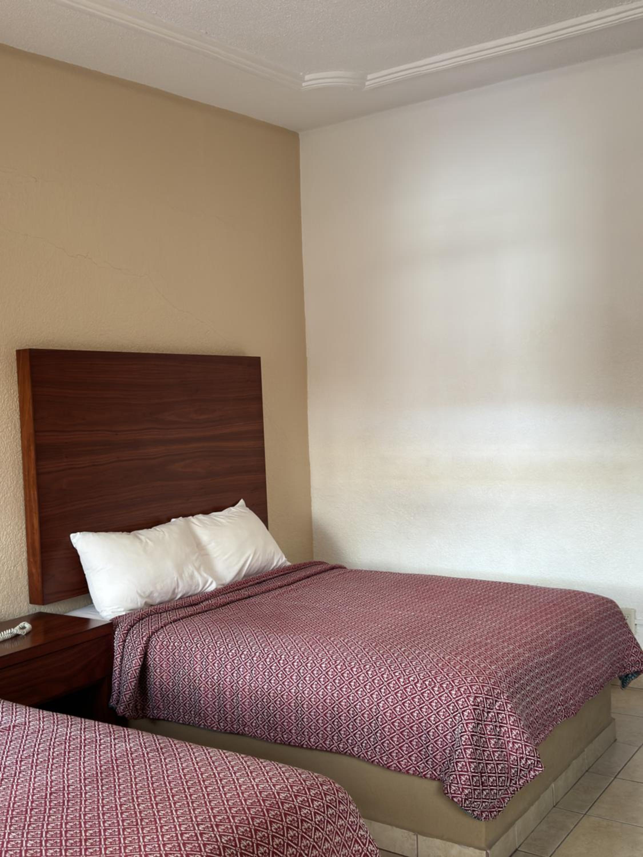 Twin Room photo 2