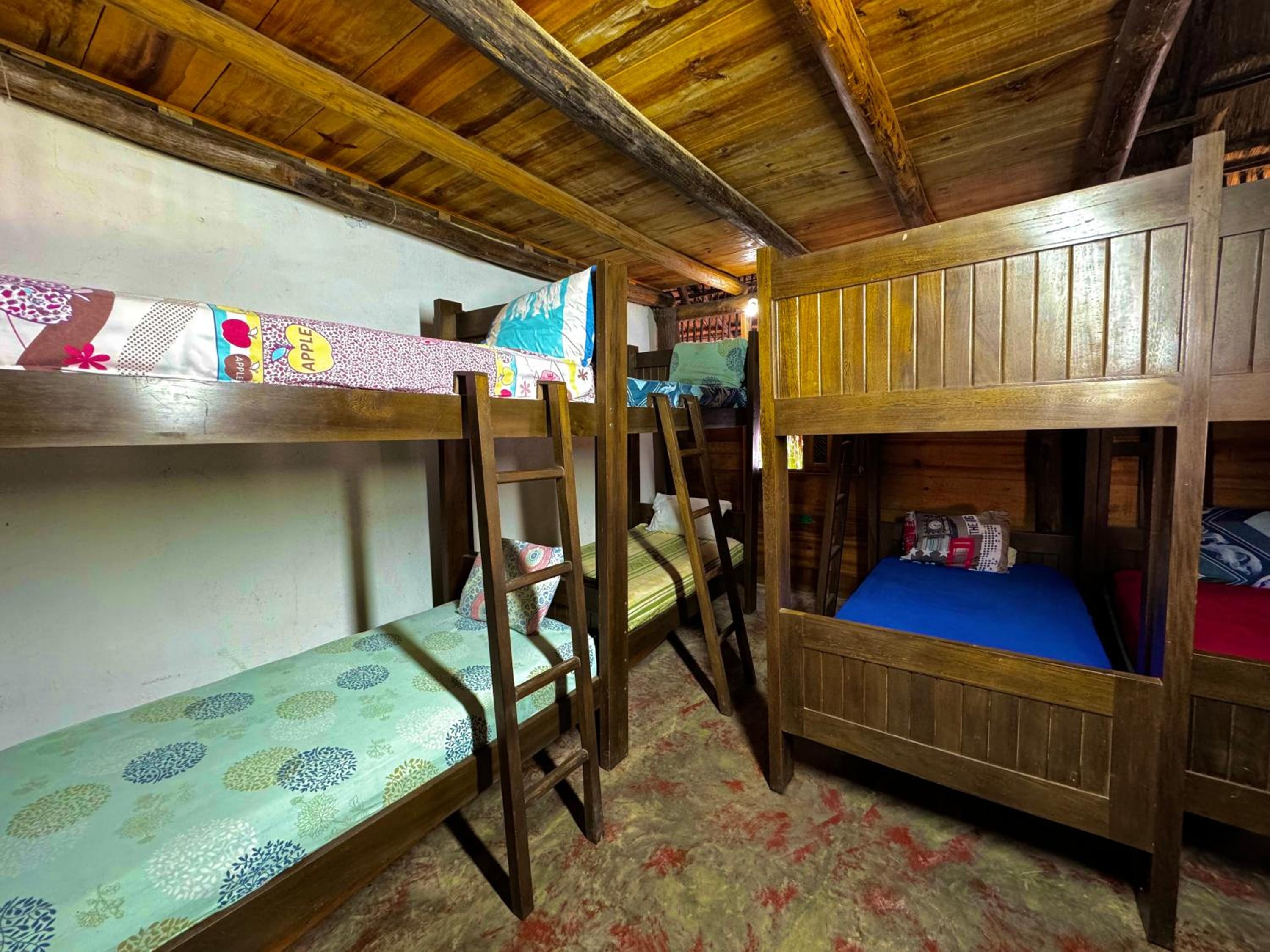 Single Bed in Mixed Dormitory Room photo 1