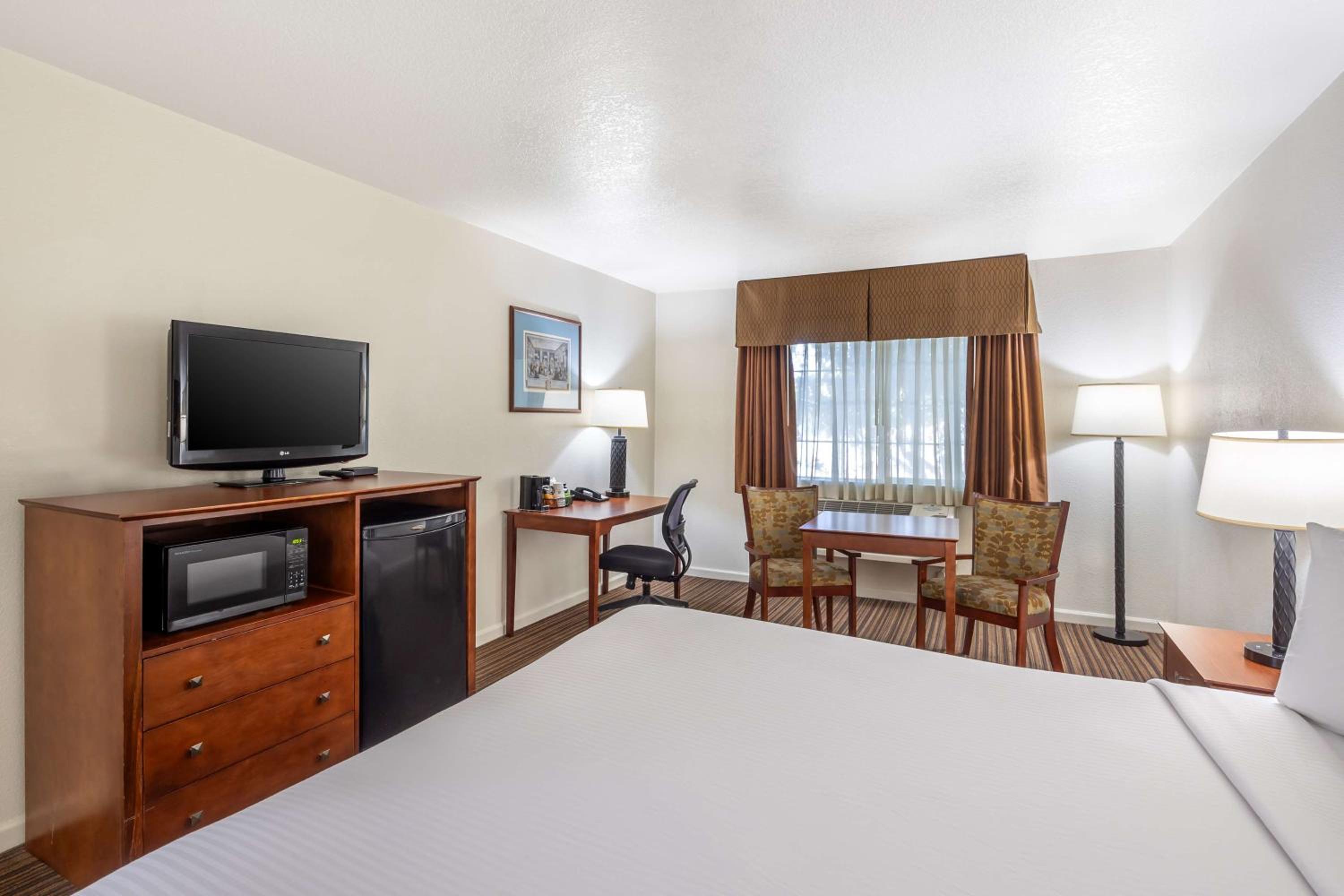 King Room photo 1