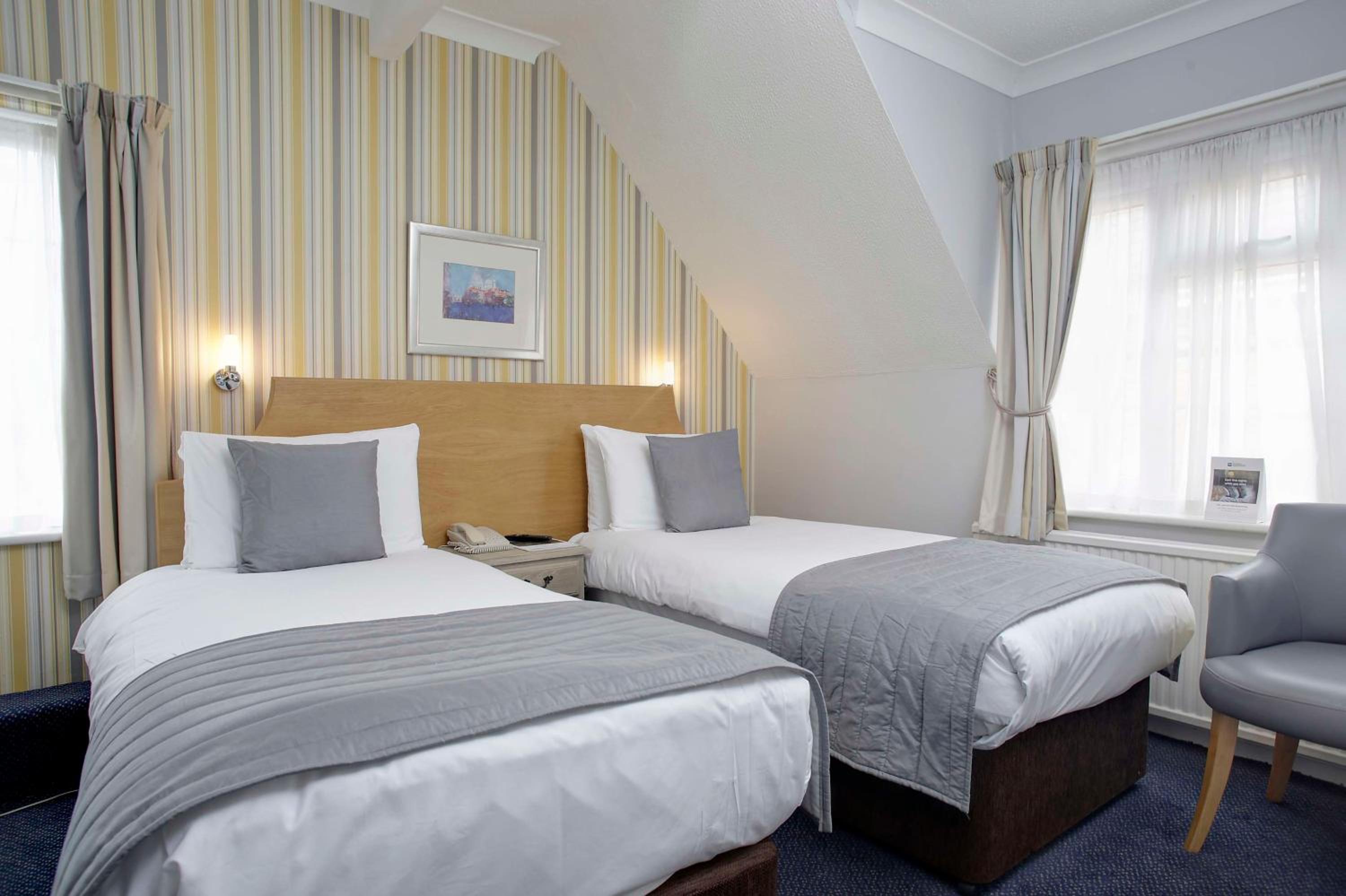 Cozy Twin Room
