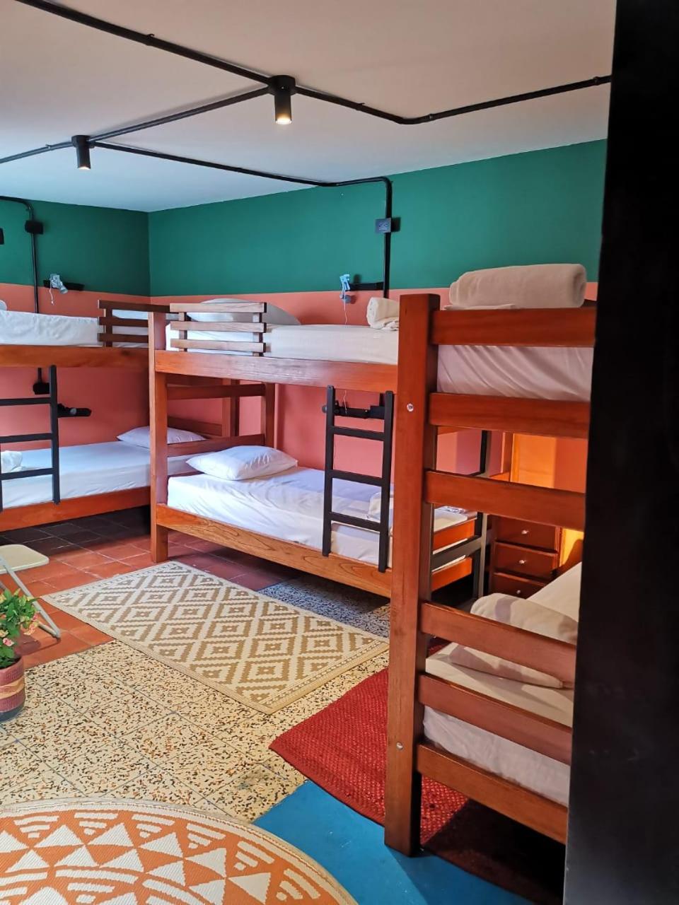 Mixed Dormitory Room photo 1
