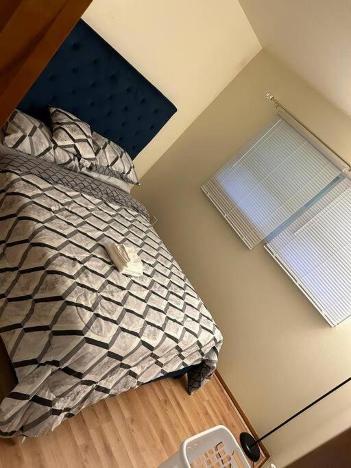 One-Bedroom House photo 1