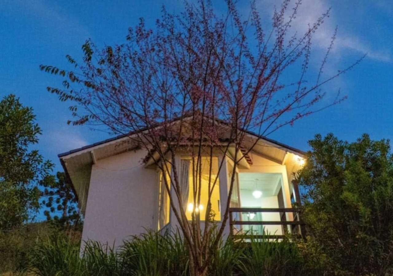 Deluxe Bungalow photo 3