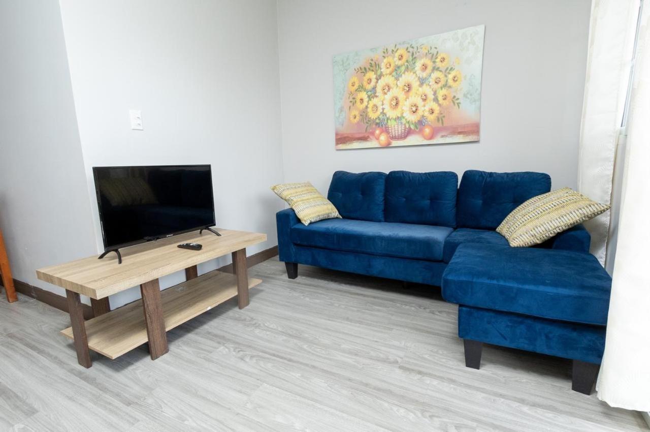 One-Bedroom Premium Apartment photo 1