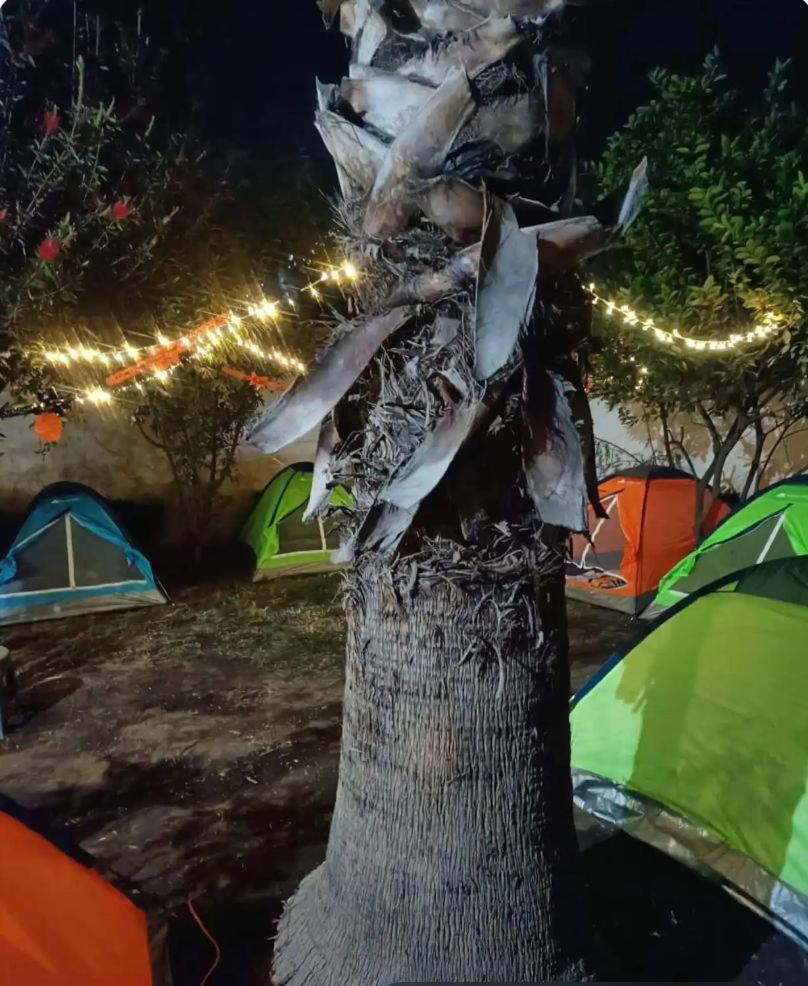 Tent photo 1