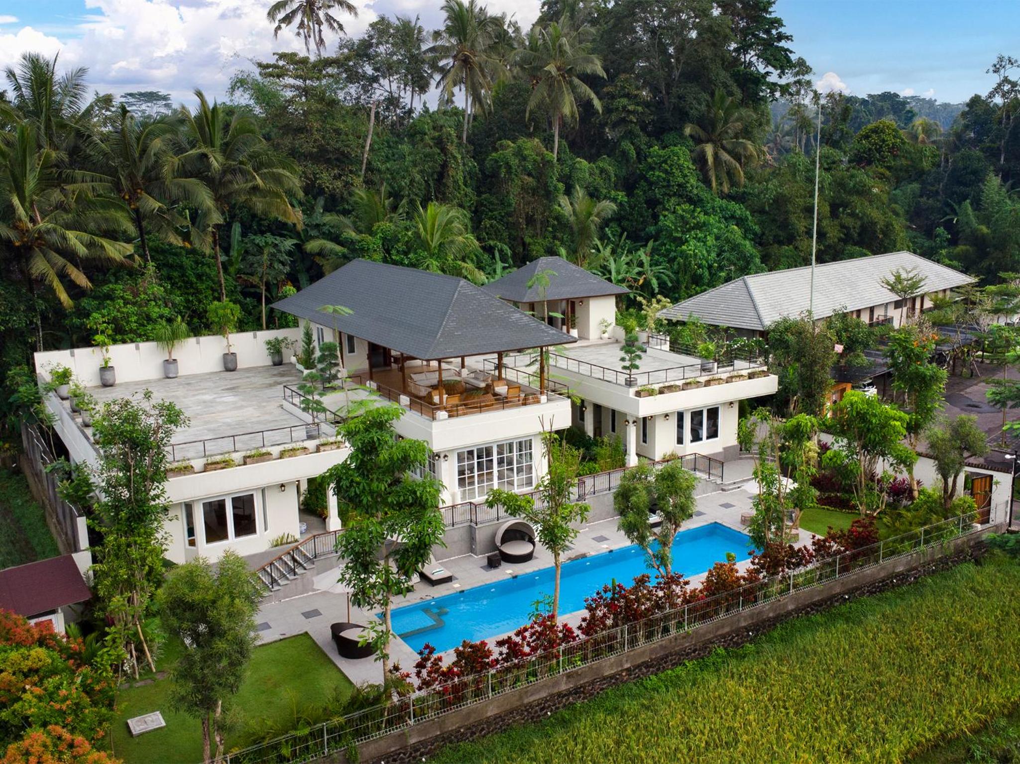 Deluxe Villa photo 2
