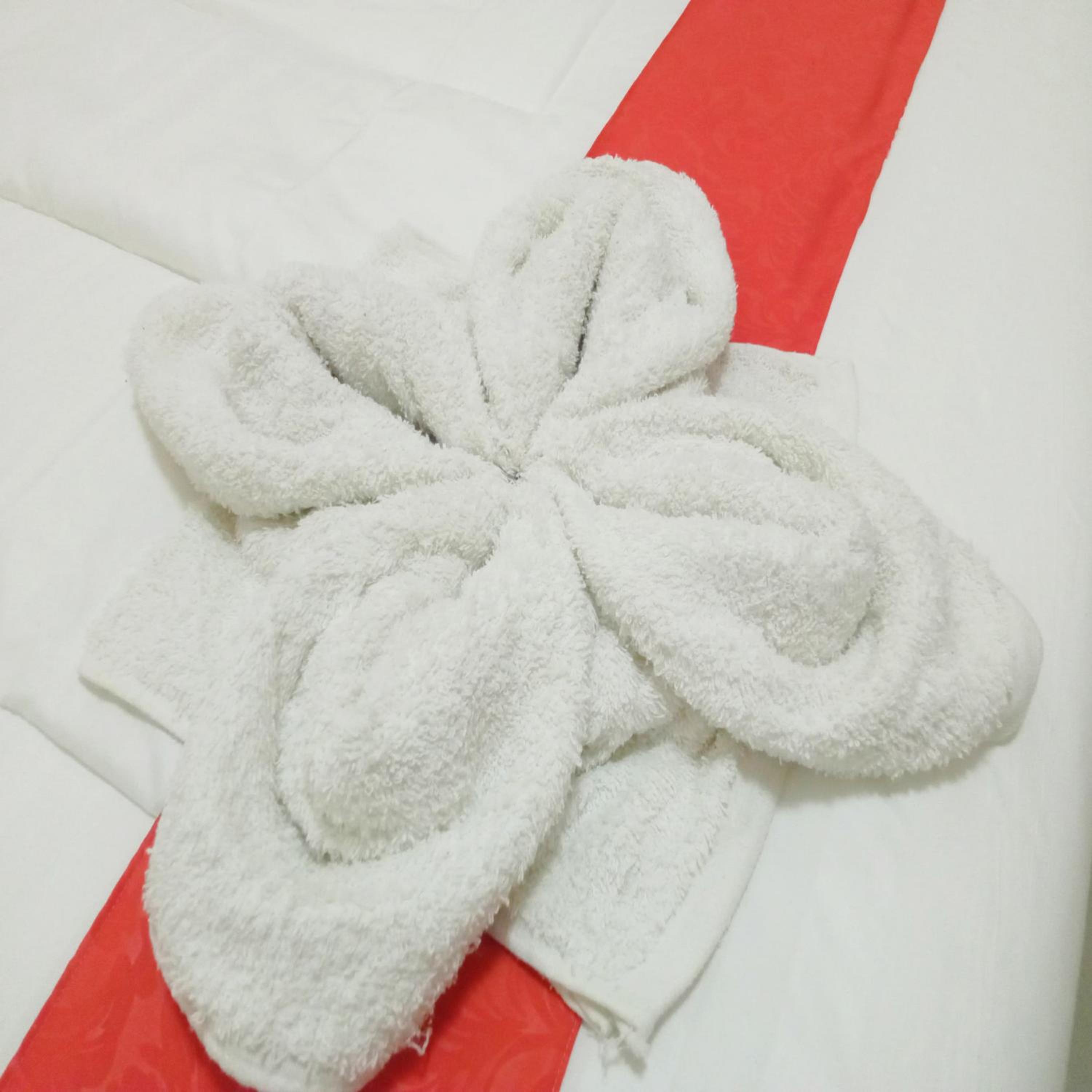 Suite - Photo 2