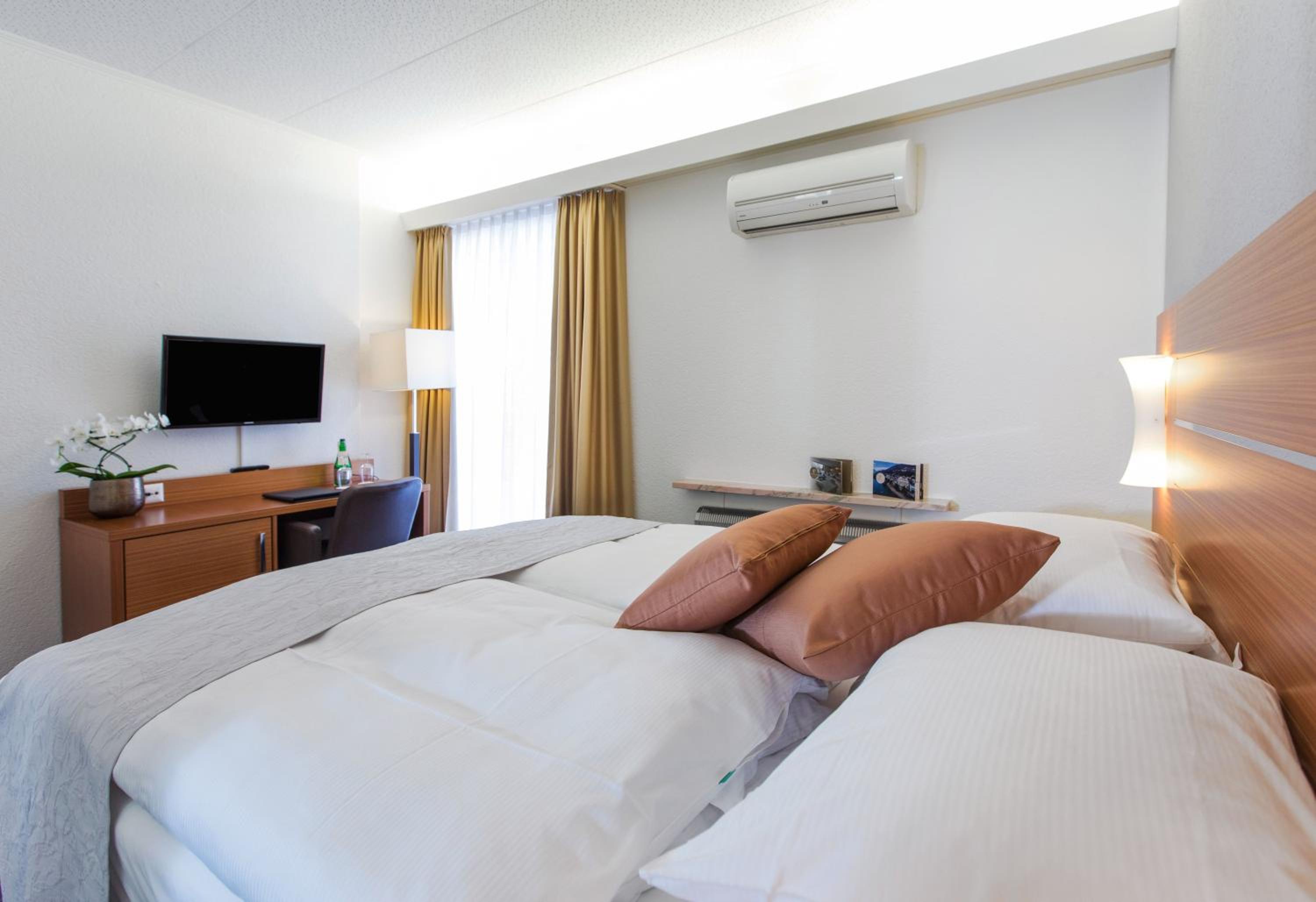 Classic Single Room with Mountain View