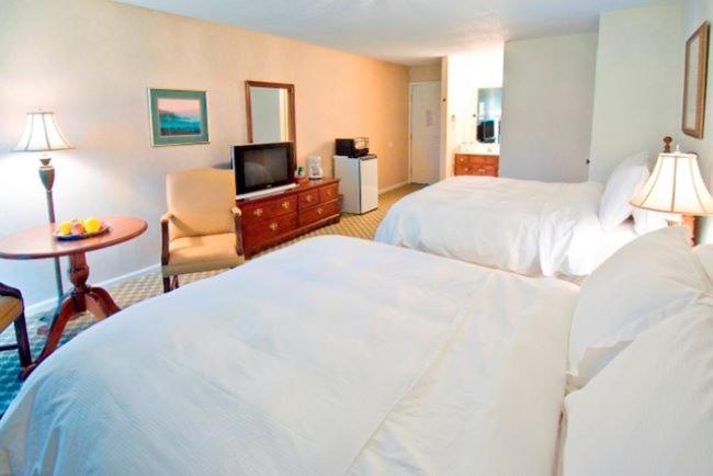 Deluxe Double Room photo 1