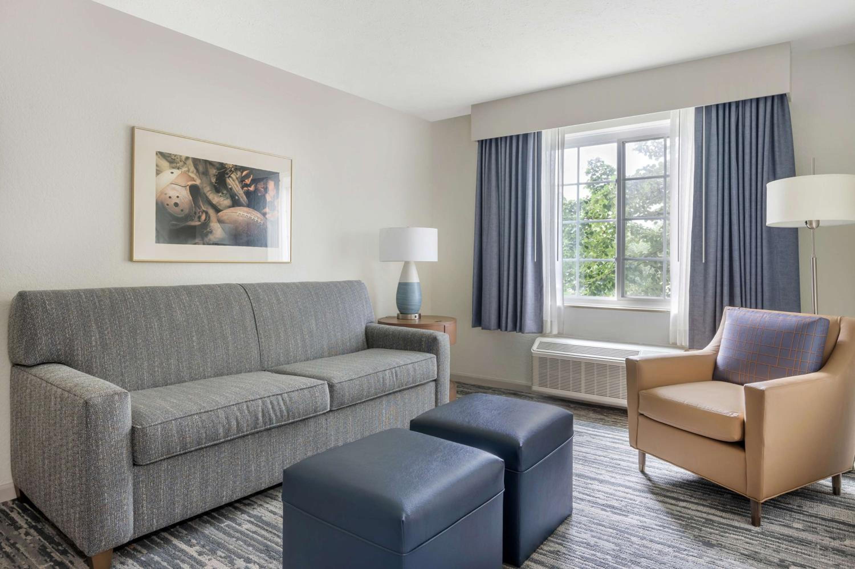One-Bedroom King Suite - Photo 6