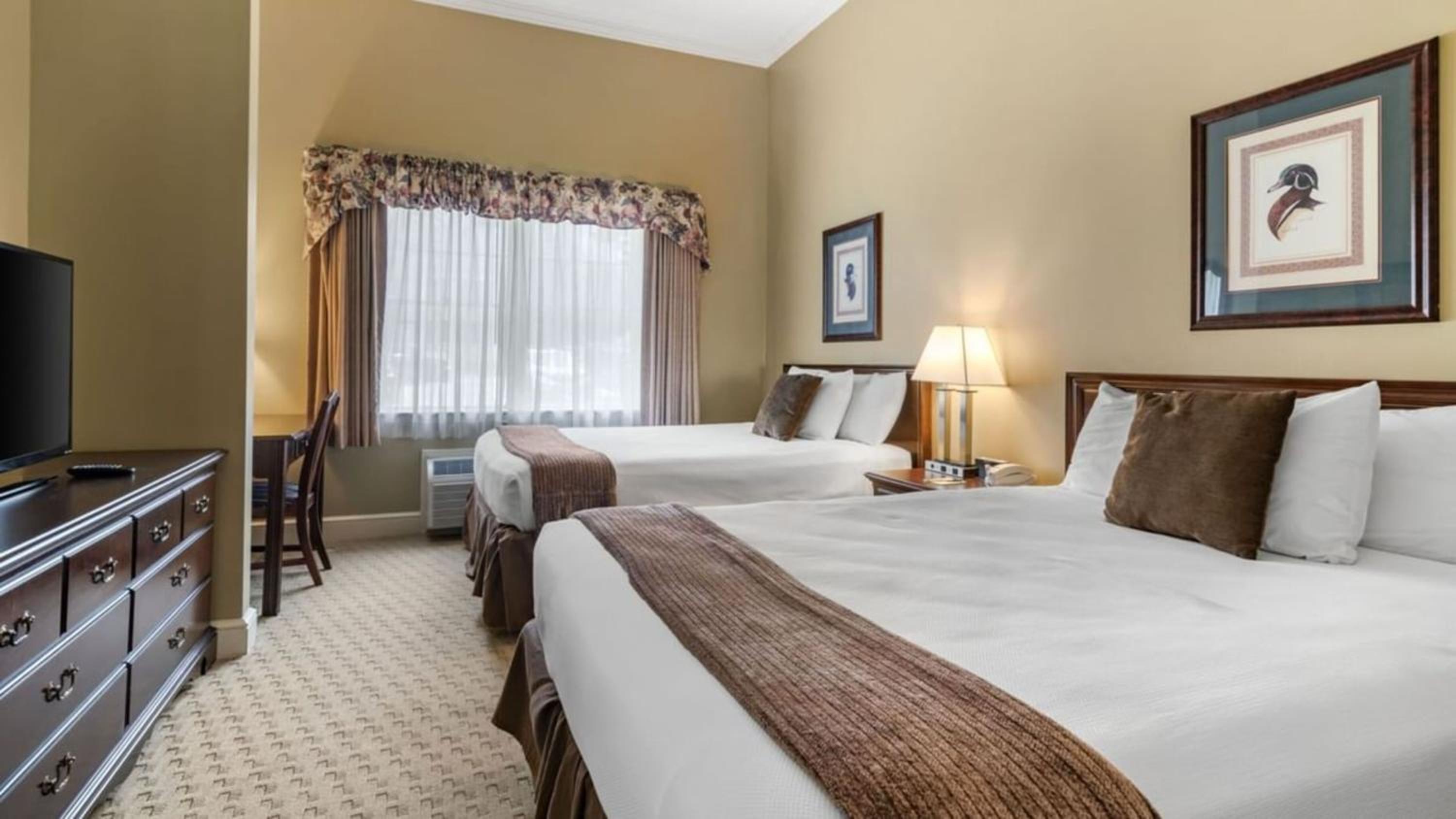 Superior Suite