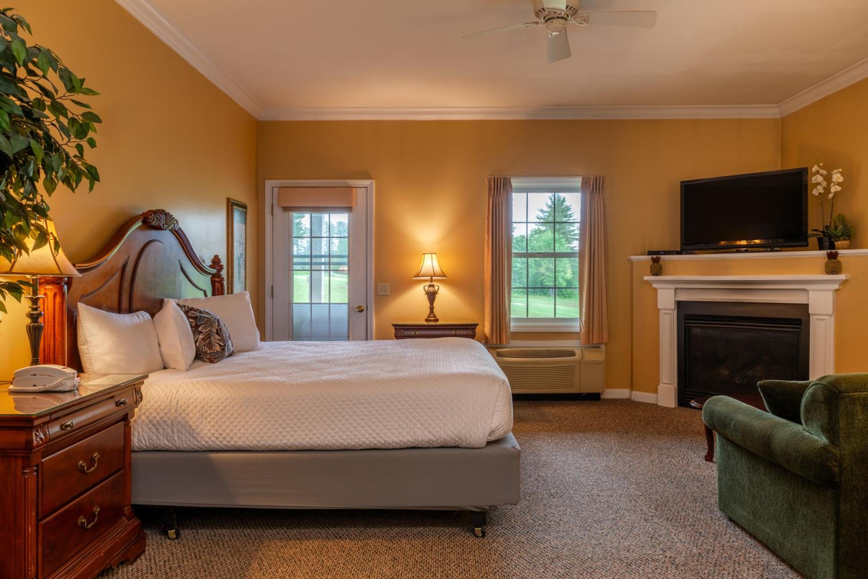 Studio, 1 King Bed with Sofa bed