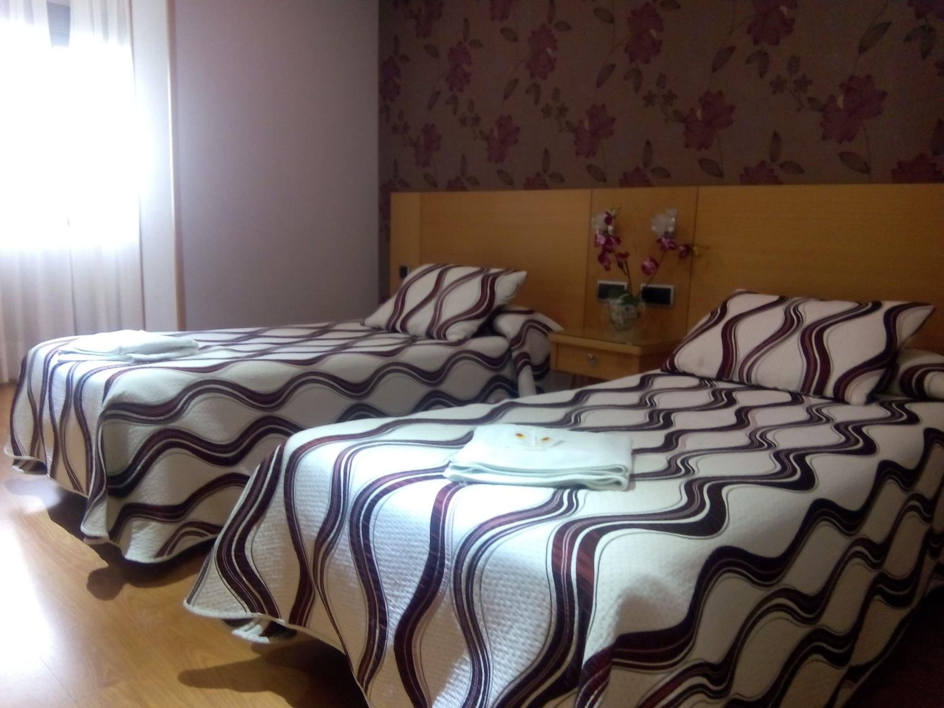 Twin Room photo 2