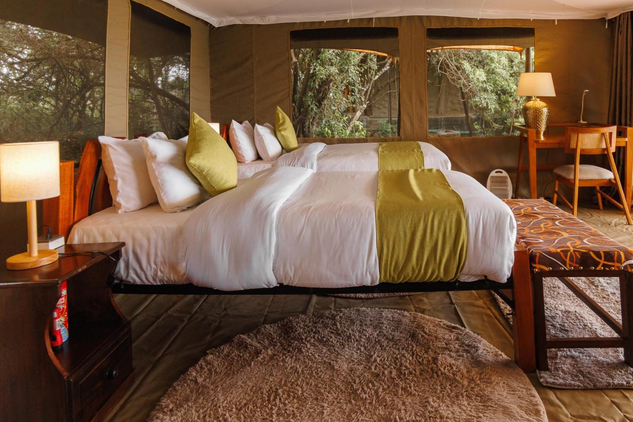 Twin Room photo 2