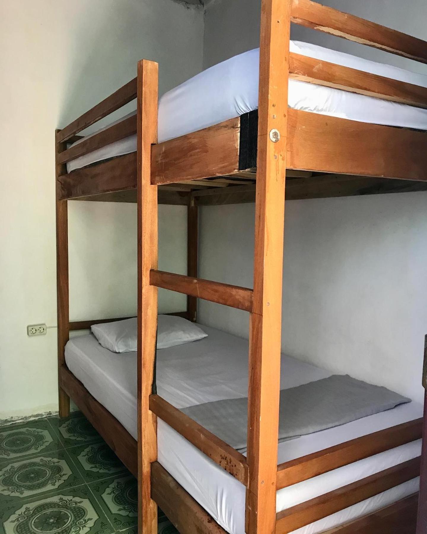 Bunk Bed in Mixed Dormitory Room photo 1