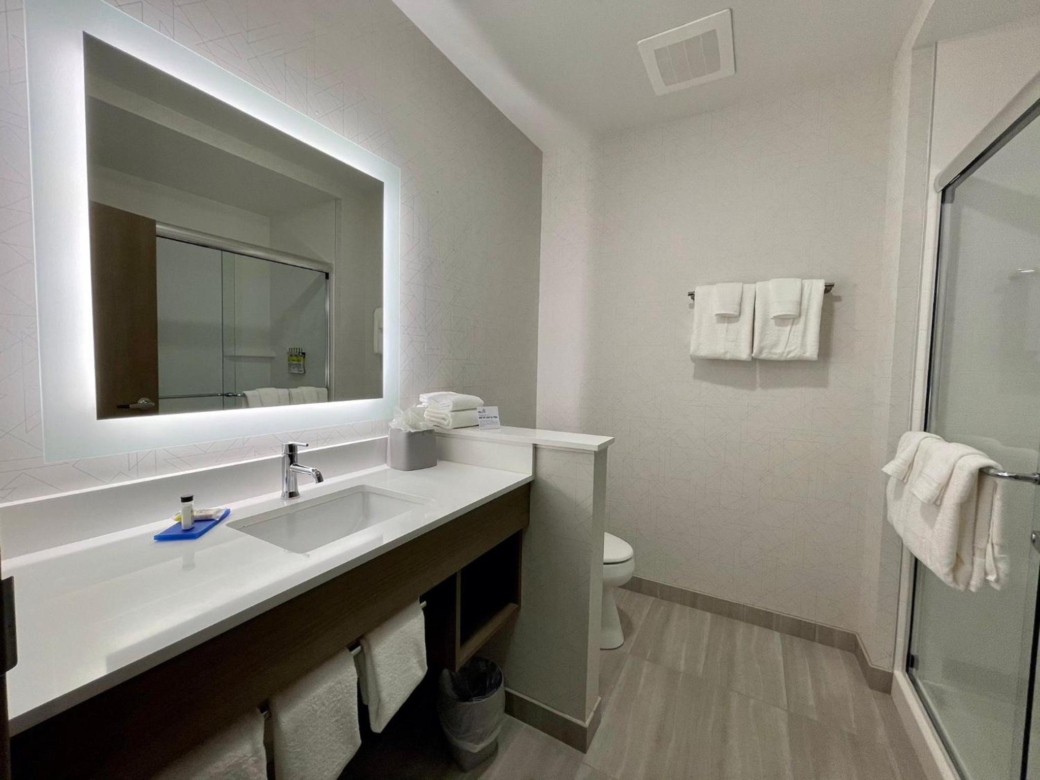 Standard King Room with Walk-In Shower - Photo 5