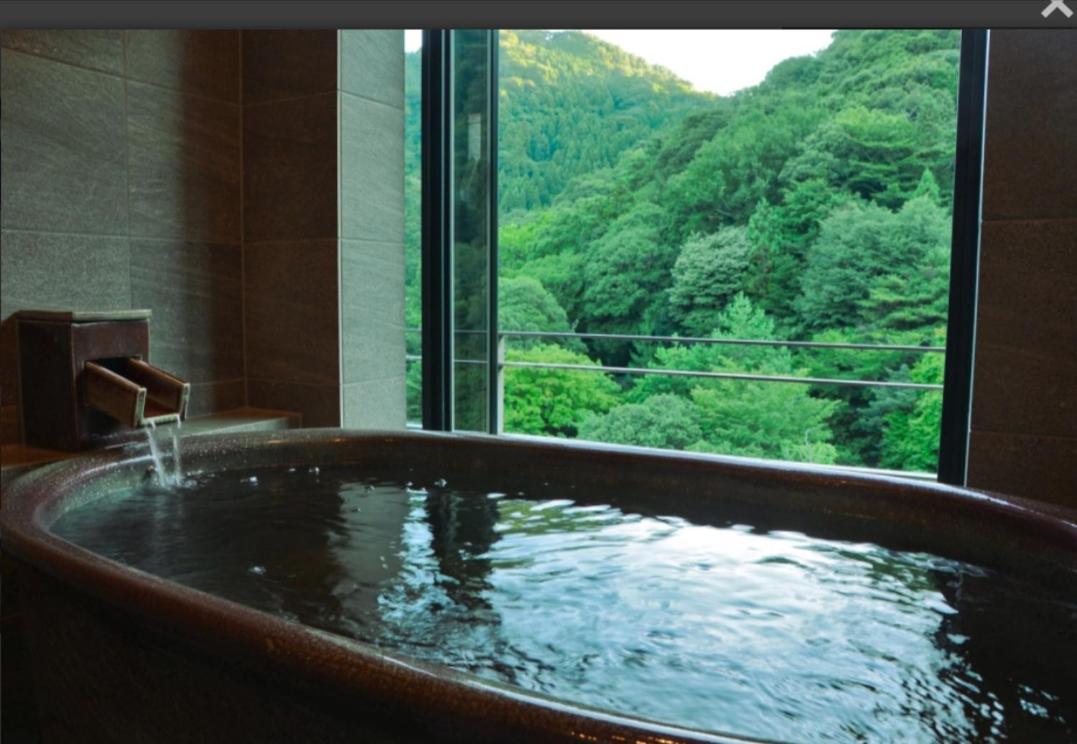 Deluxe Japanese Western Style Room (Modern) with Private Bathroom - Meals service in room - Photo 2