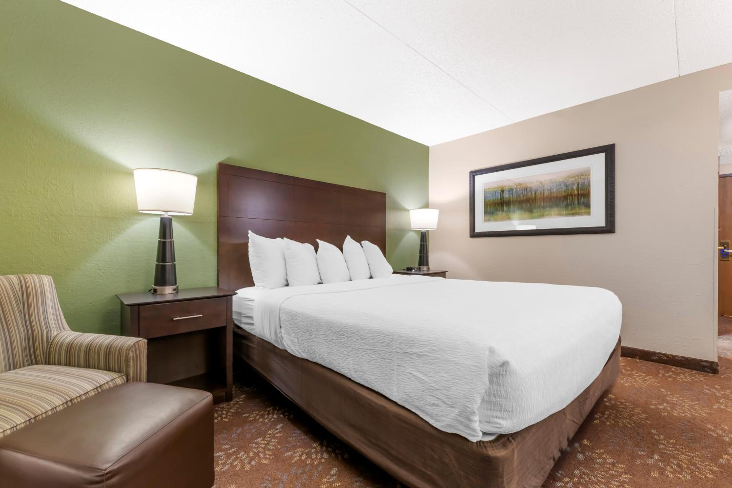 King Room - Non-Smoking - Photo 1