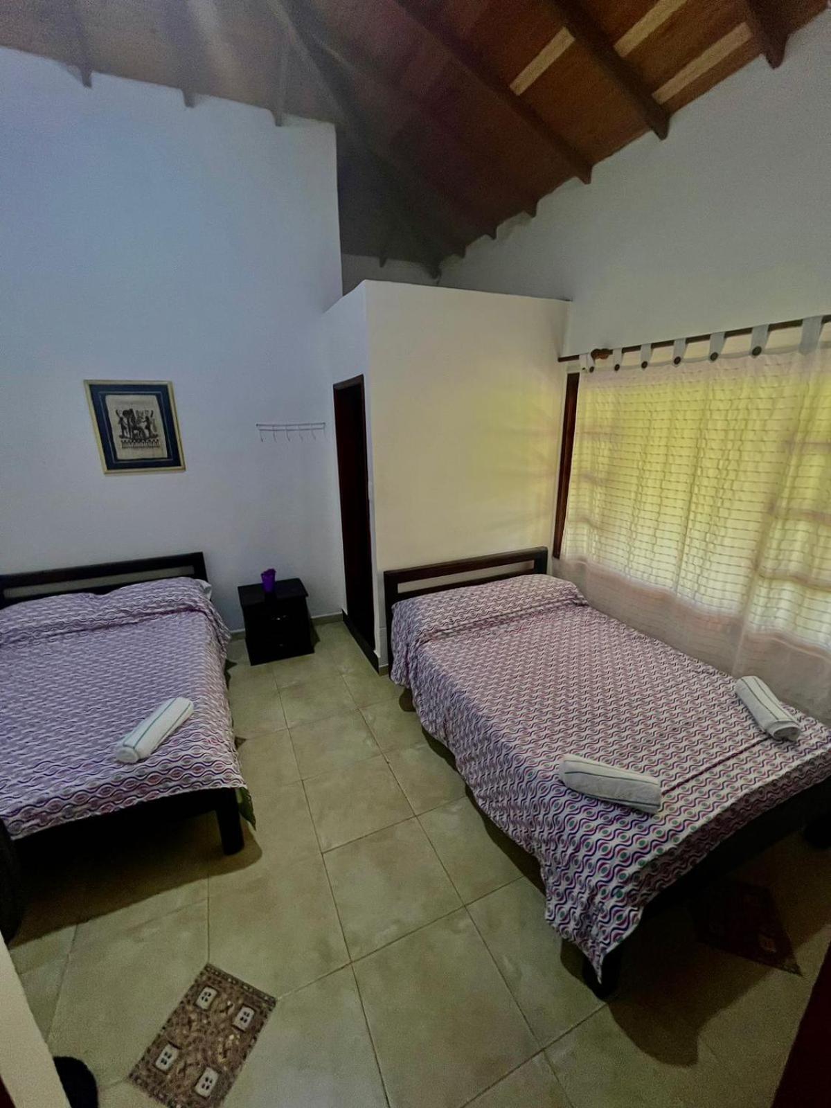 Double Room with Two Double Beds