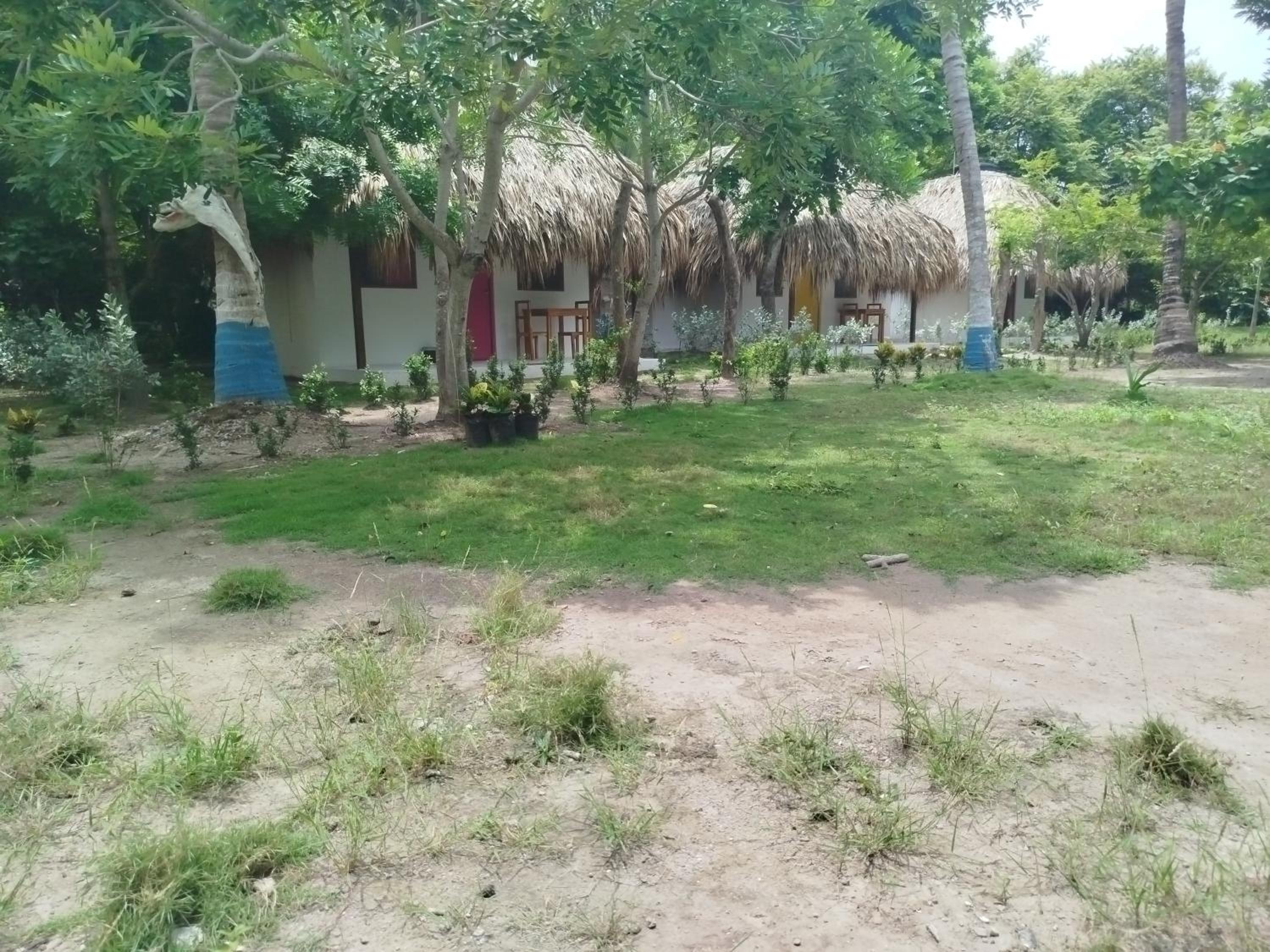 Deluxe Bungalow photo 3
