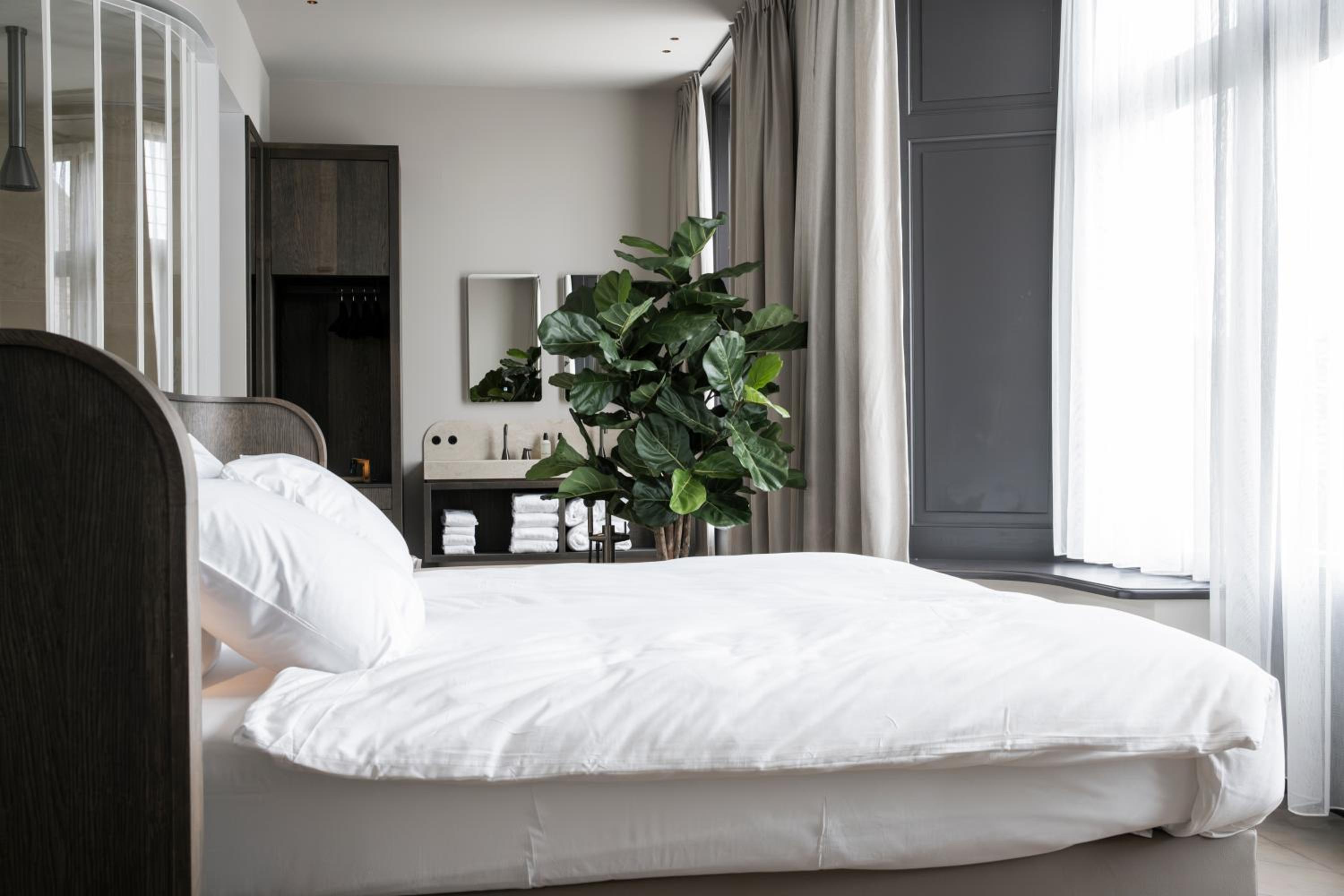 Deluxe King Suite photo 2