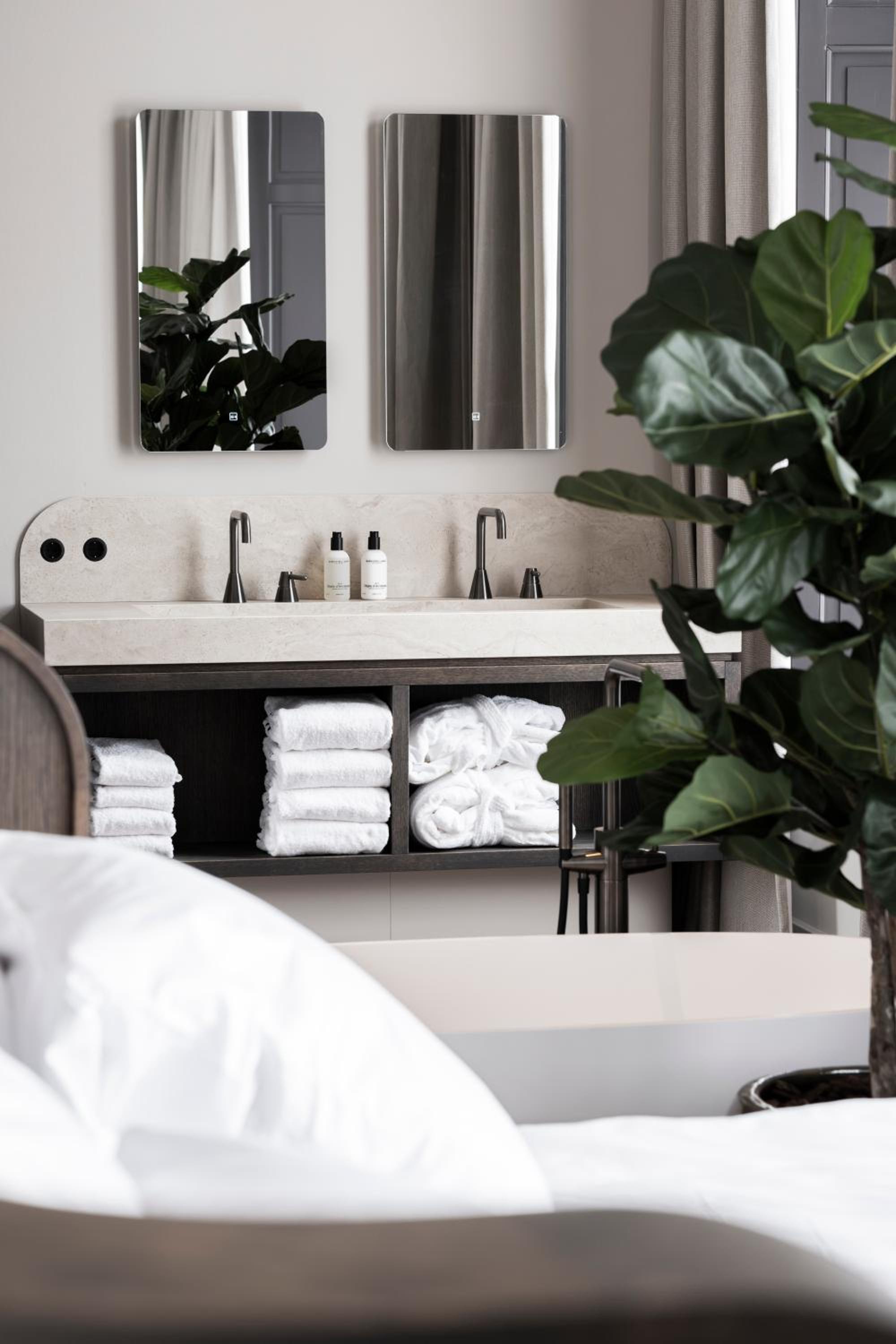 Deluxe King Suite photo 3