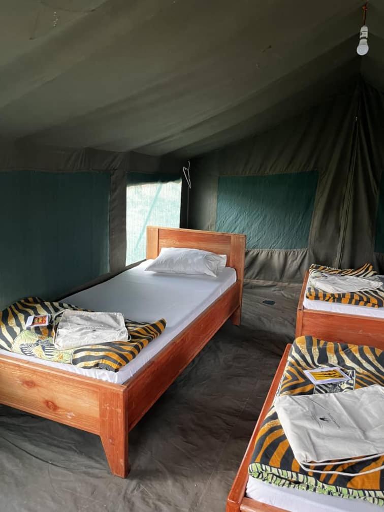 Tent photo 3