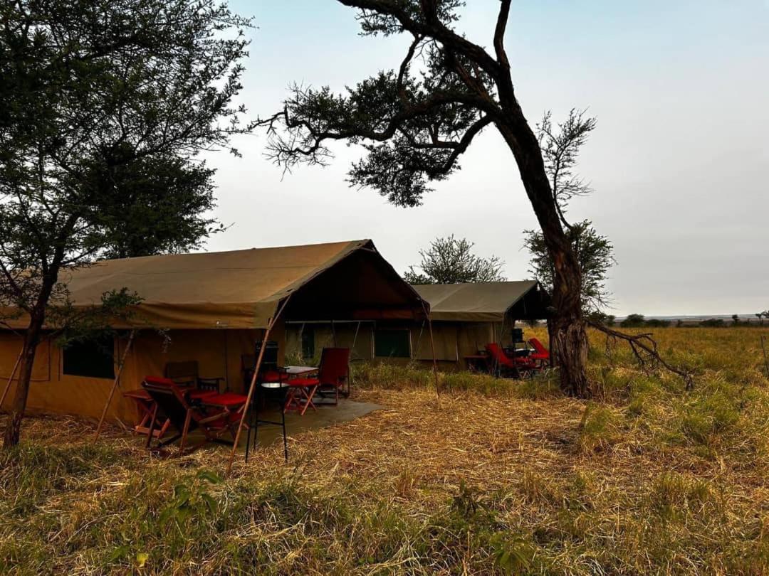 Tent photo 2