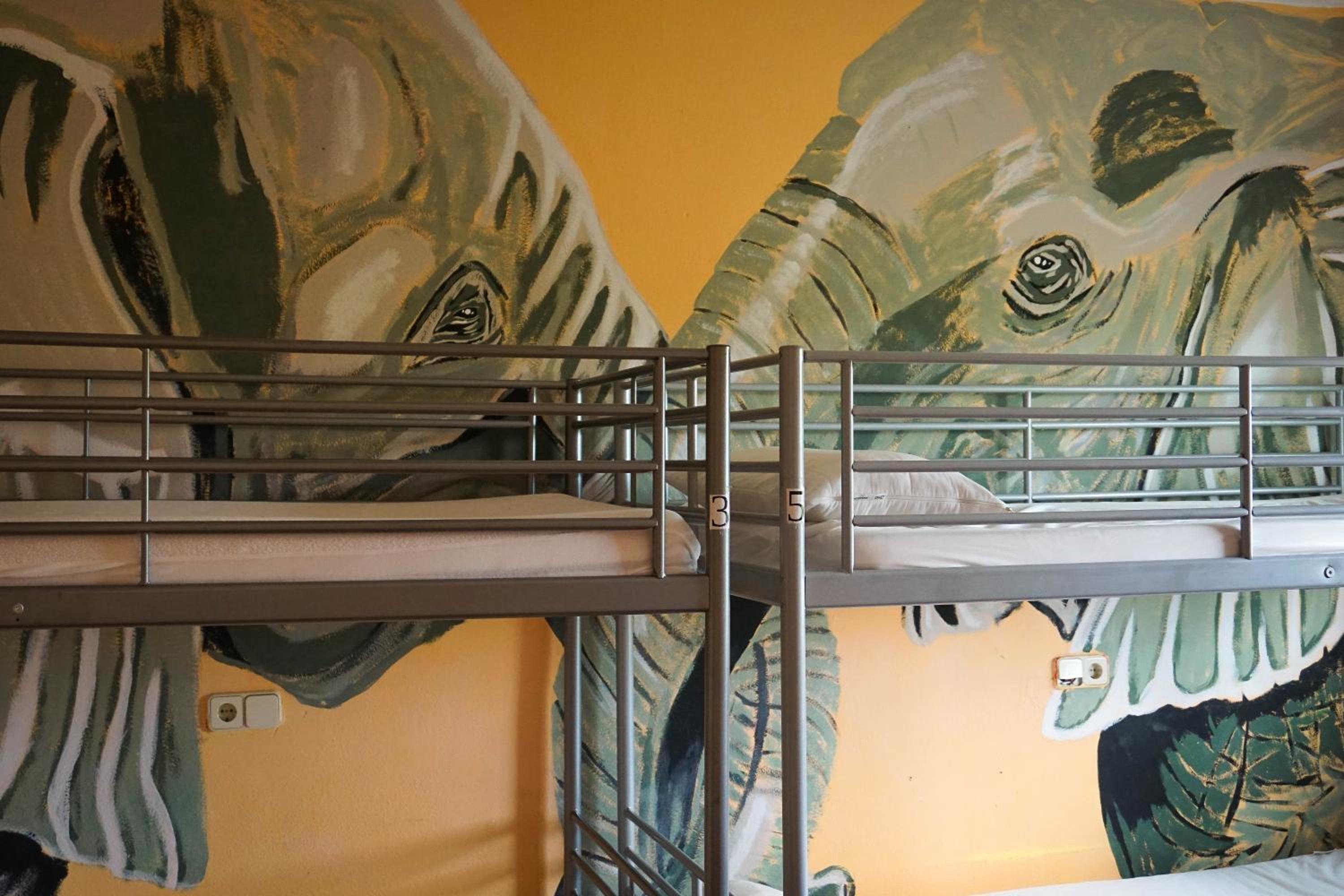 Cama en habitación compartida para 8 personas