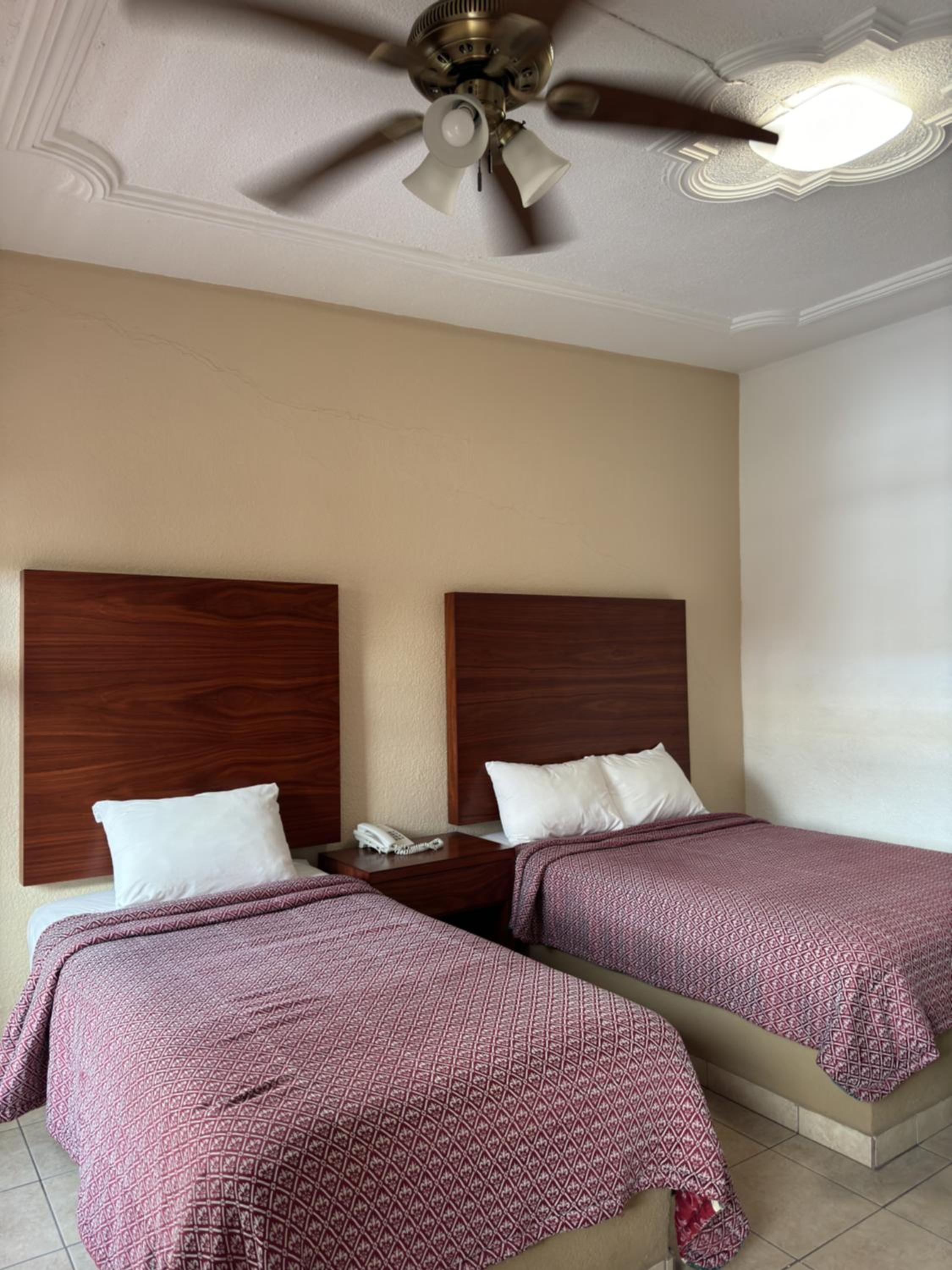 Twin Room photo 1