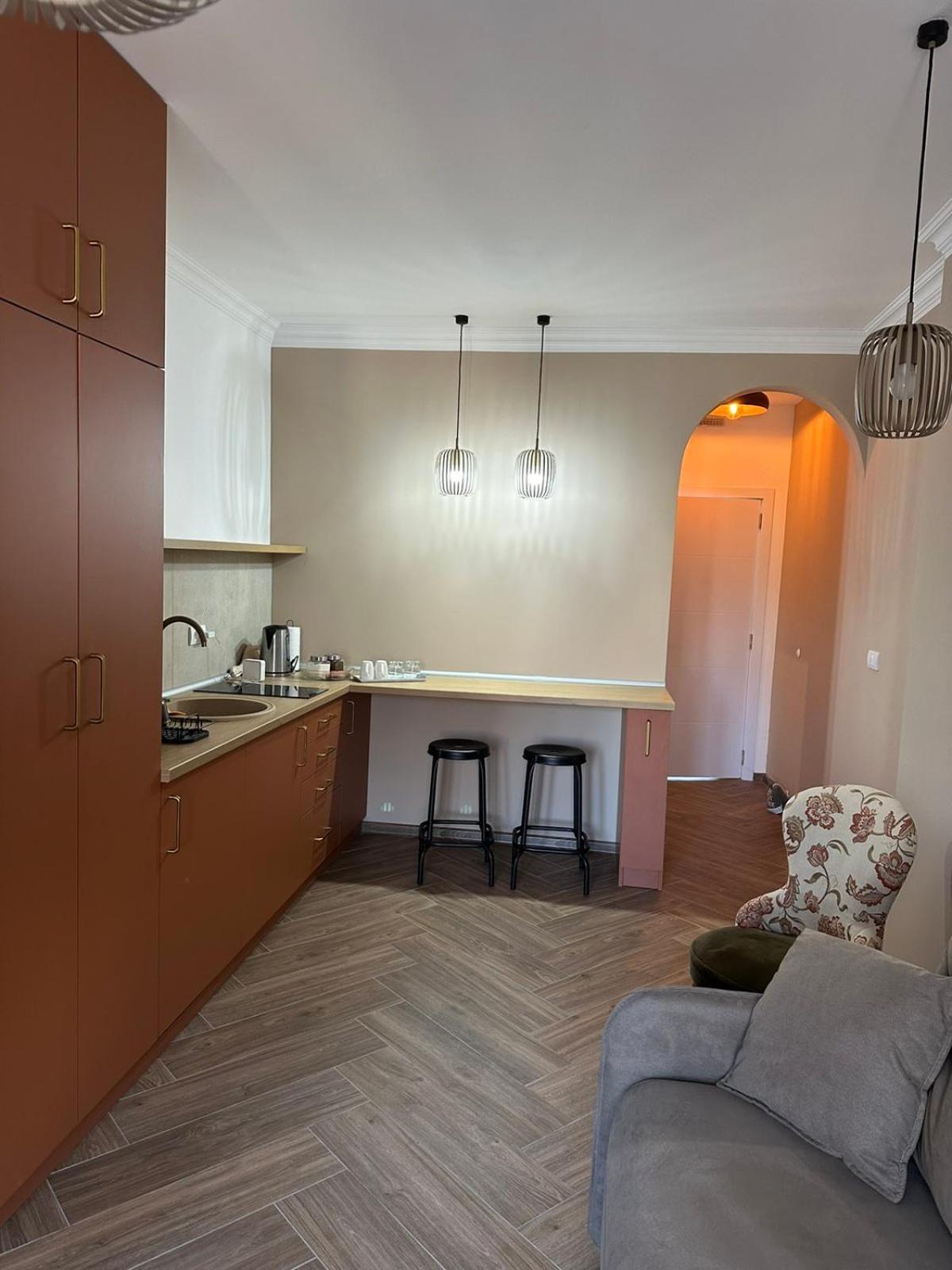 One-Bedroom Apartment photo 2
