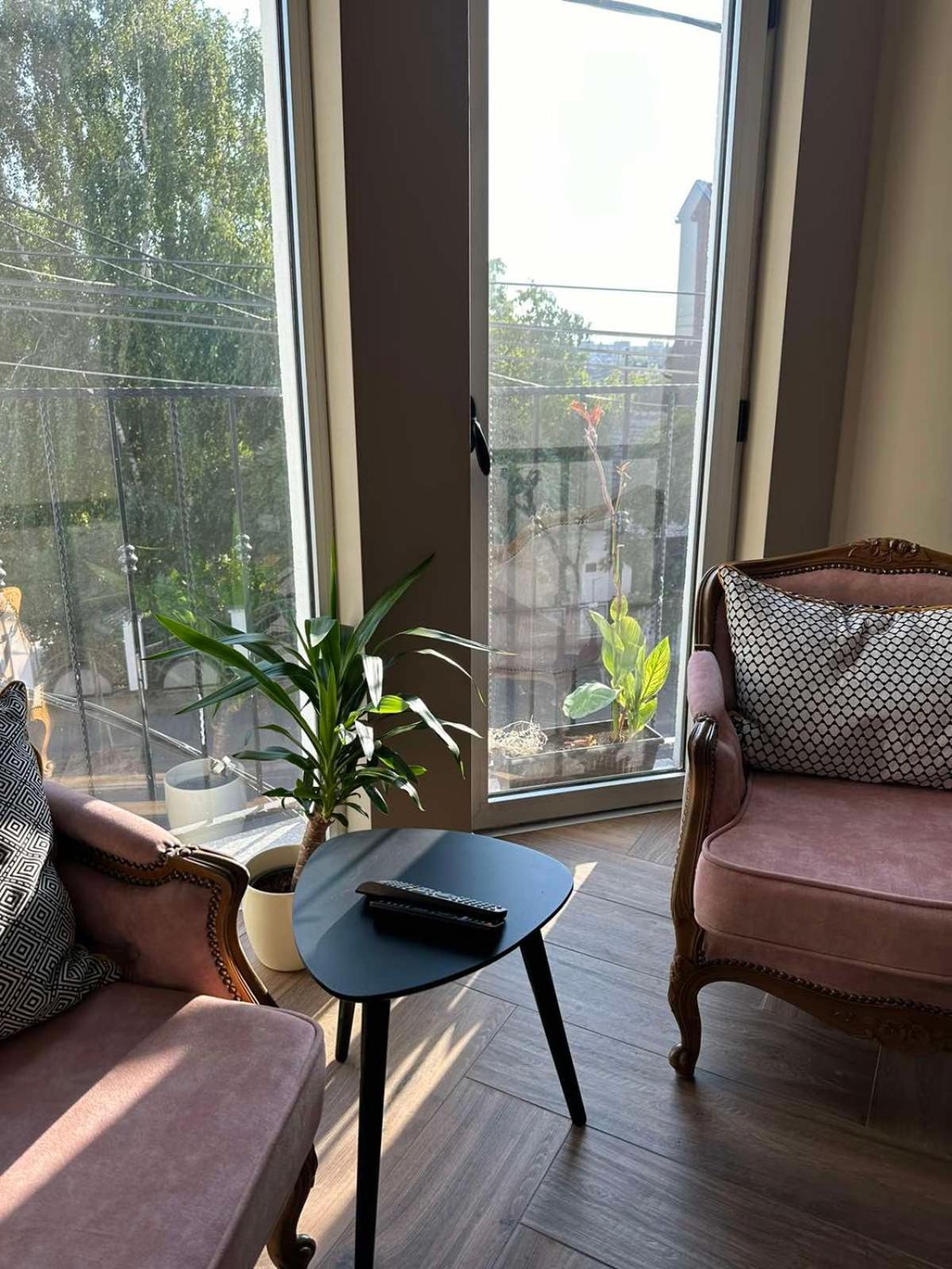 One-Bedroom Apartment photo 3