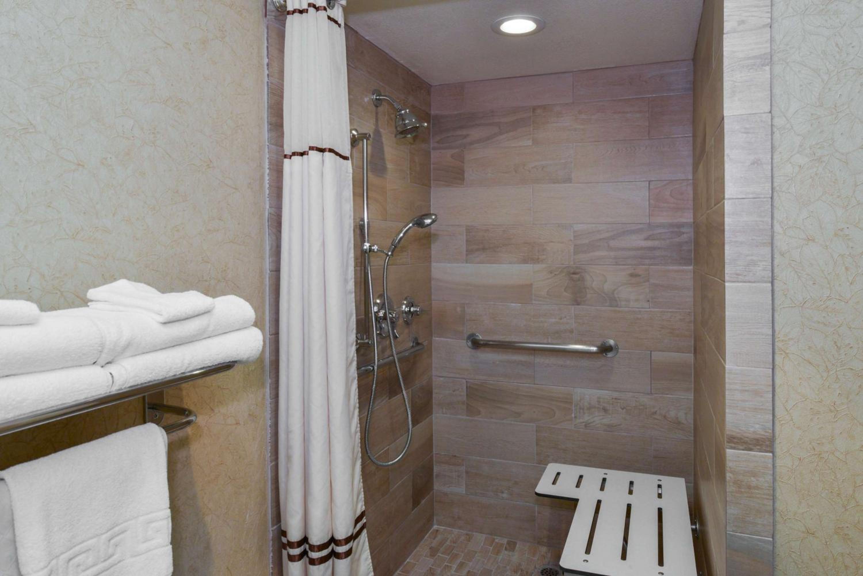 King Room with Roll In Shower-Disability Access - Photo 9