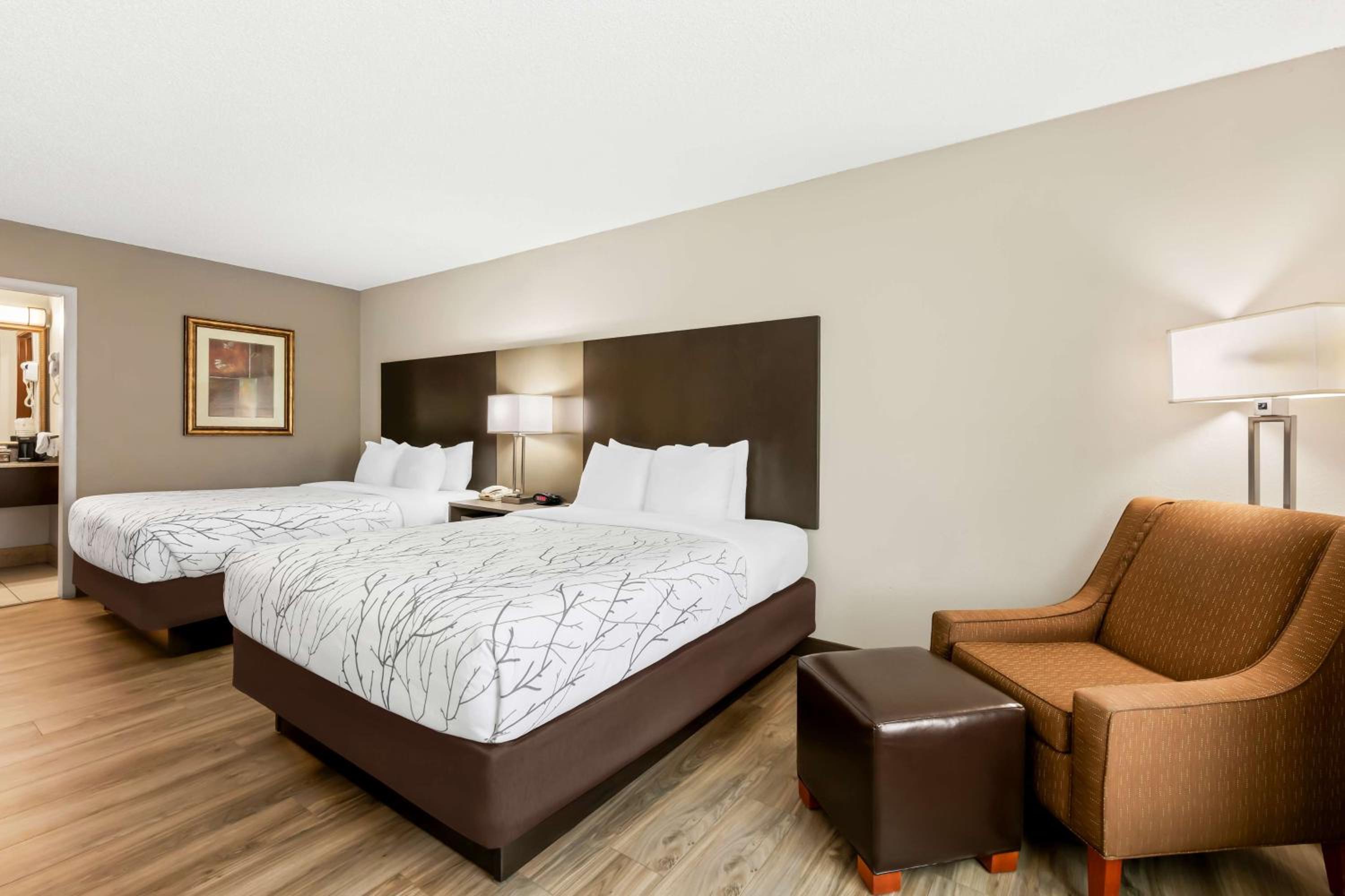 Queen Room with Two Queen Beds - Non-Smoking photo 3